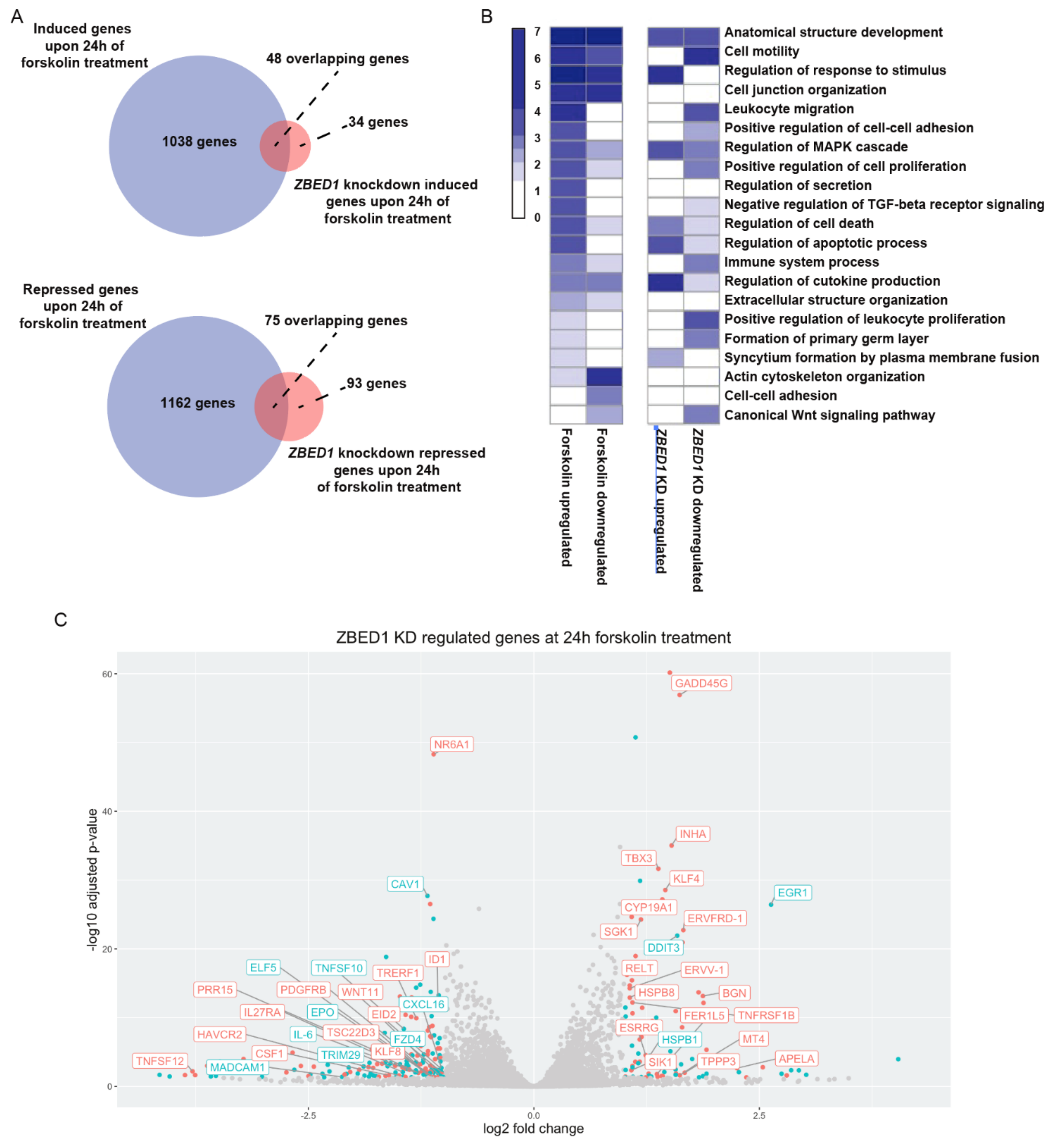 Genes 13 00133 g005 Genes 13 00133 g005