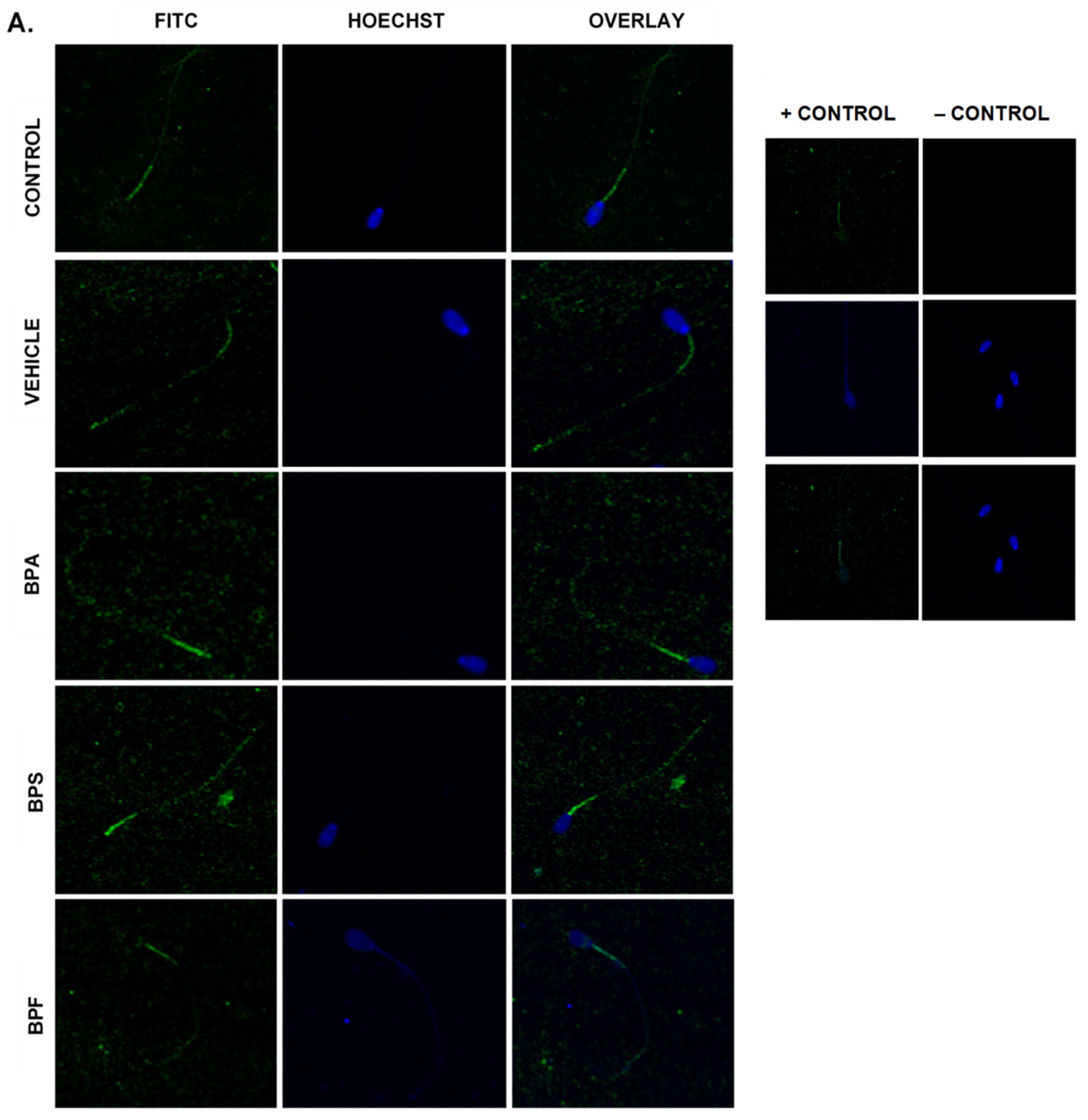 Genes 13 00142 g010a
