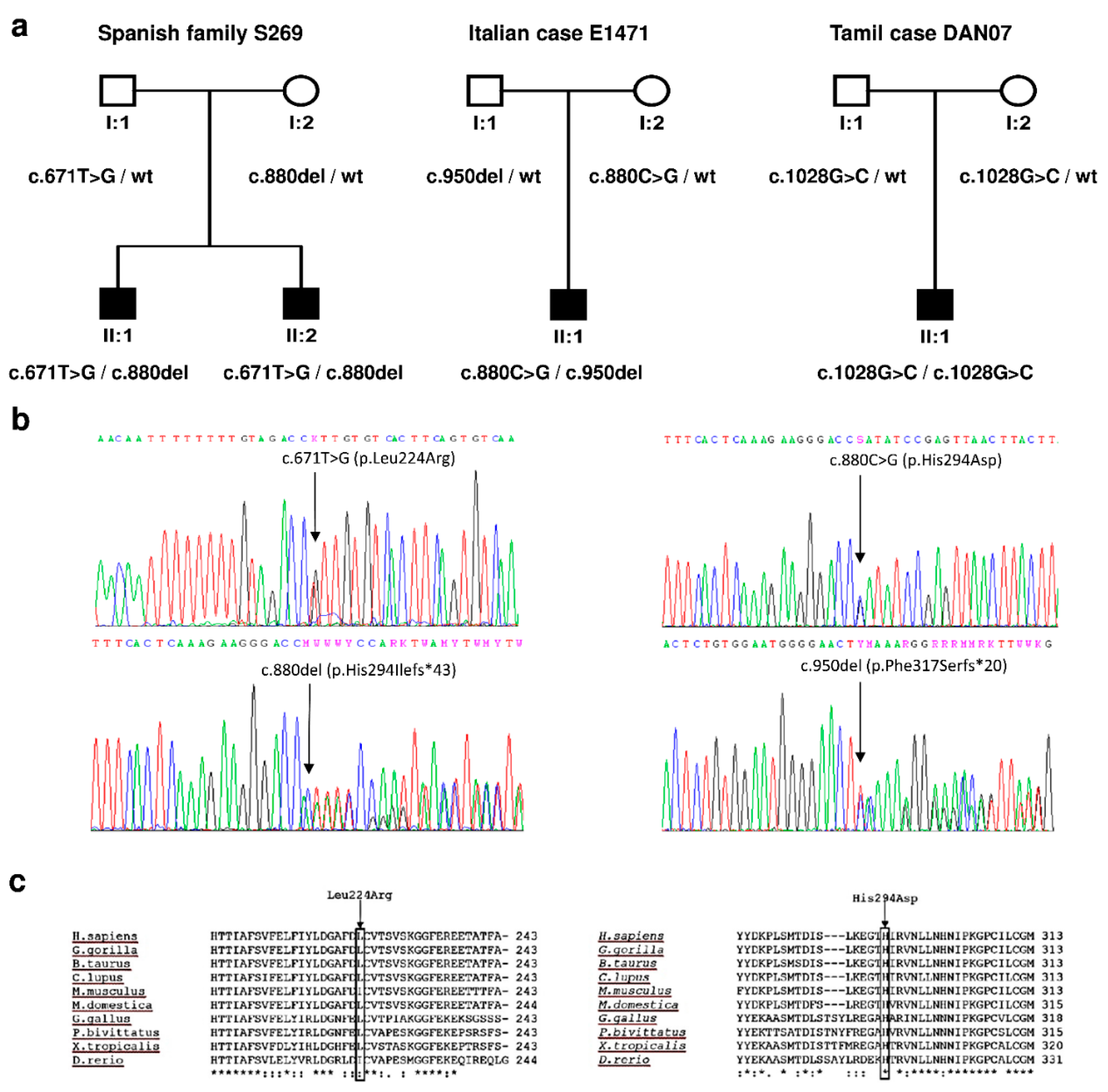 Genes 13 00149 g001
