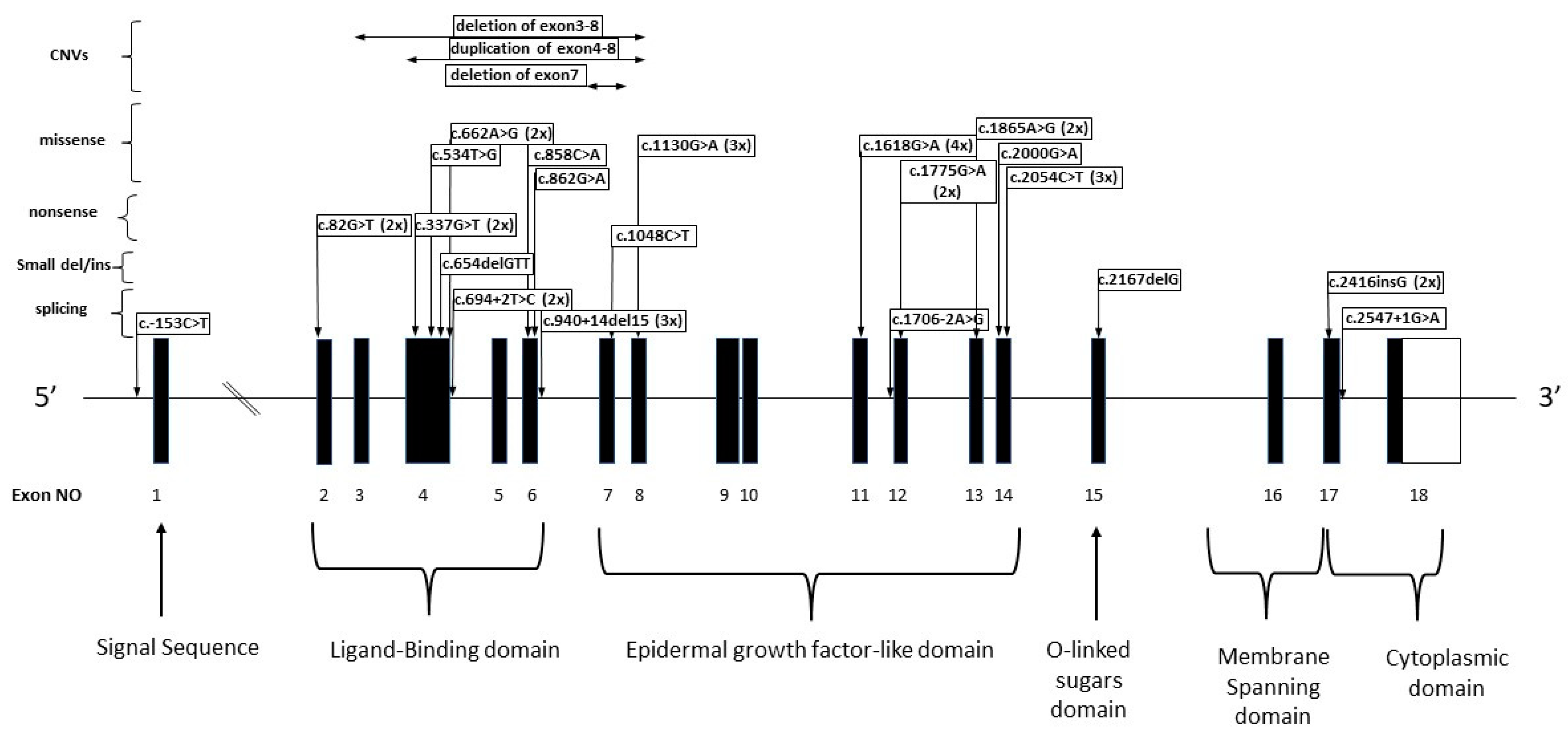 Genes 13 00153 g001