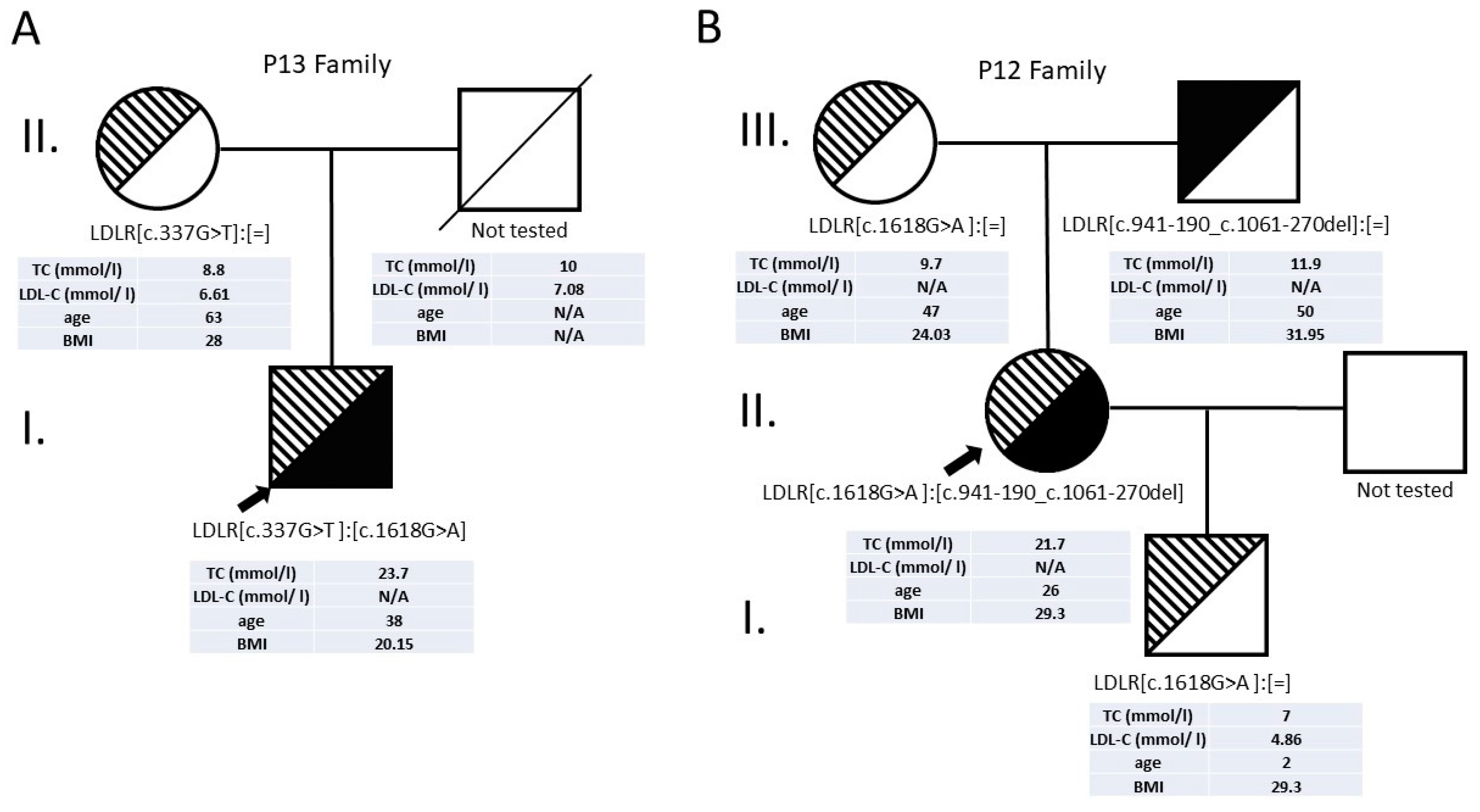 Genes 13 00153 g002