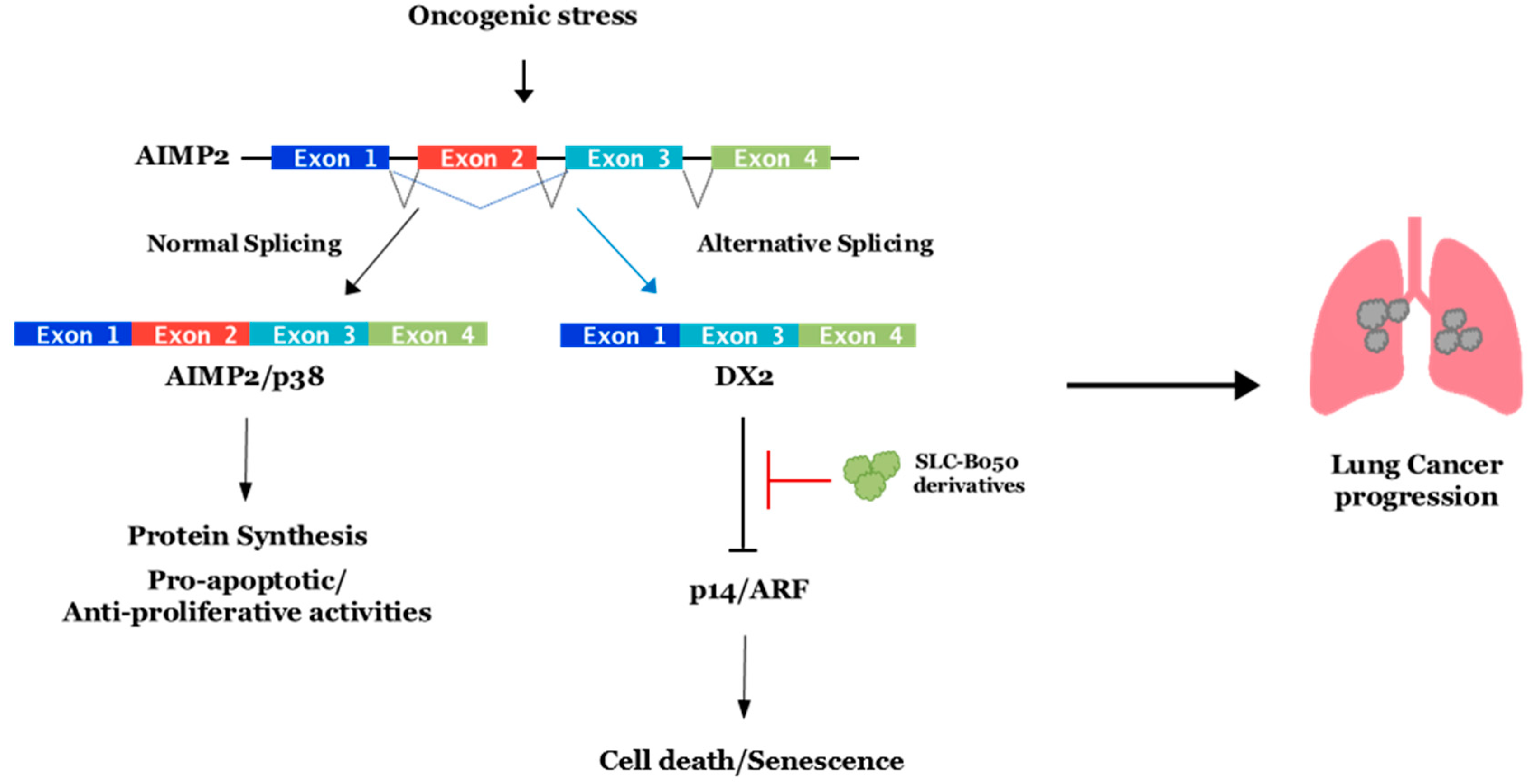 Genes 13 00165 g002