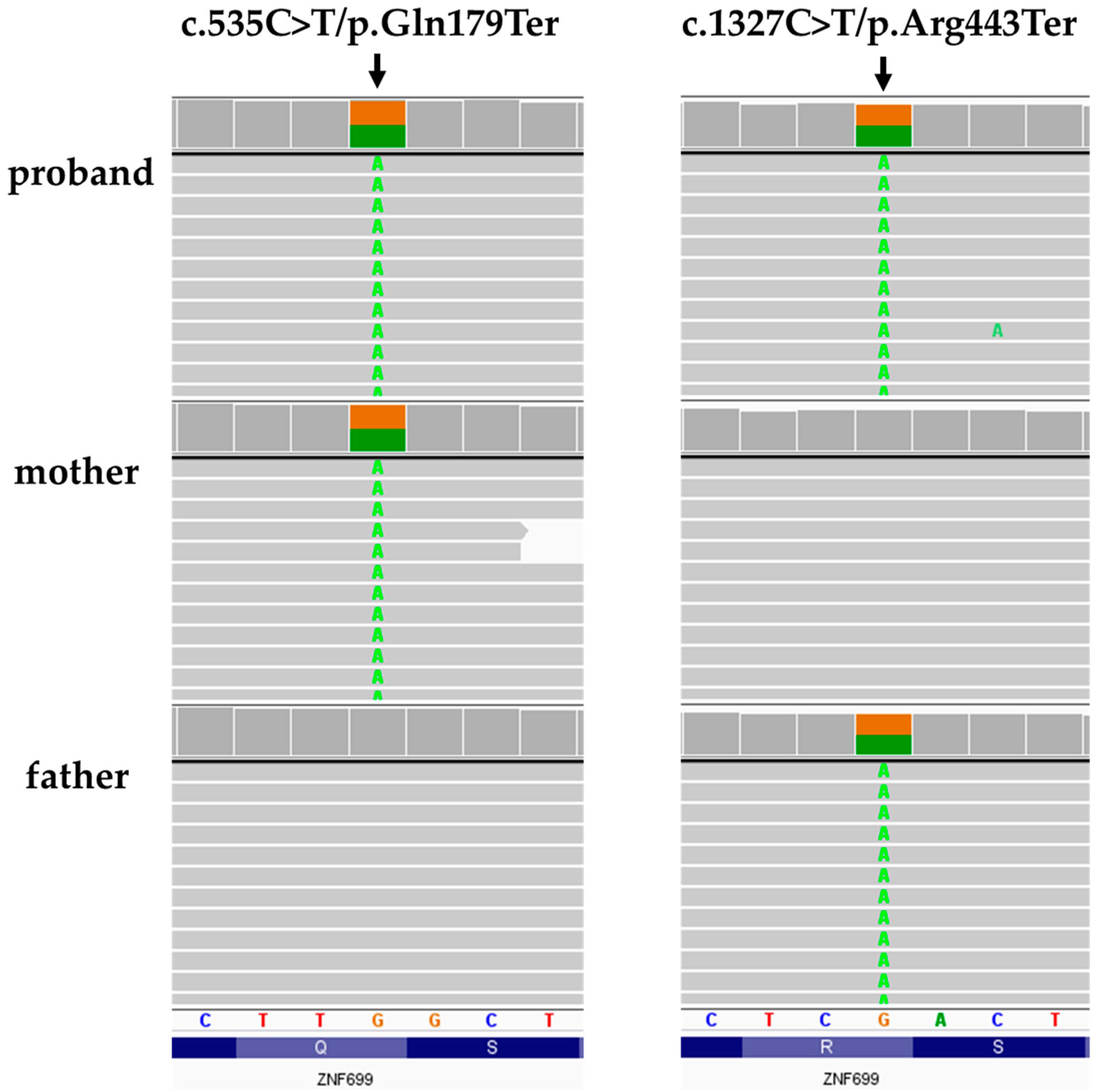 Genes 13 00168 g002