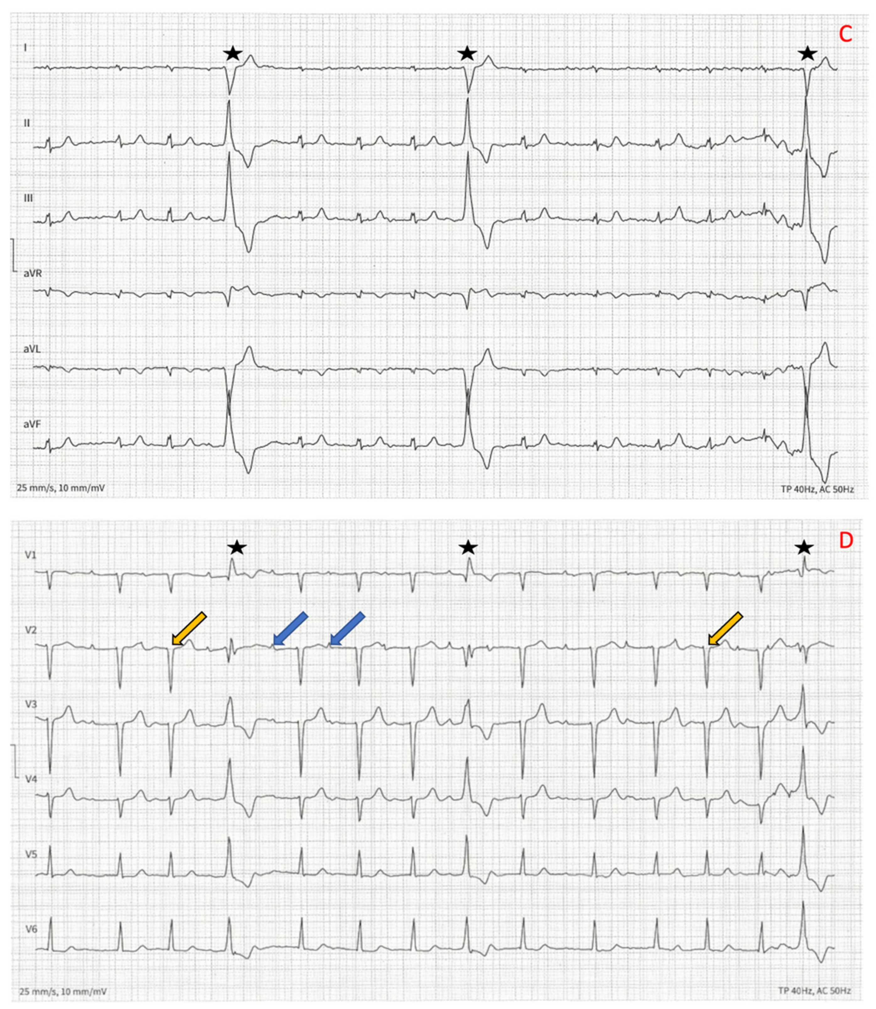Genes 13 00169 g002b