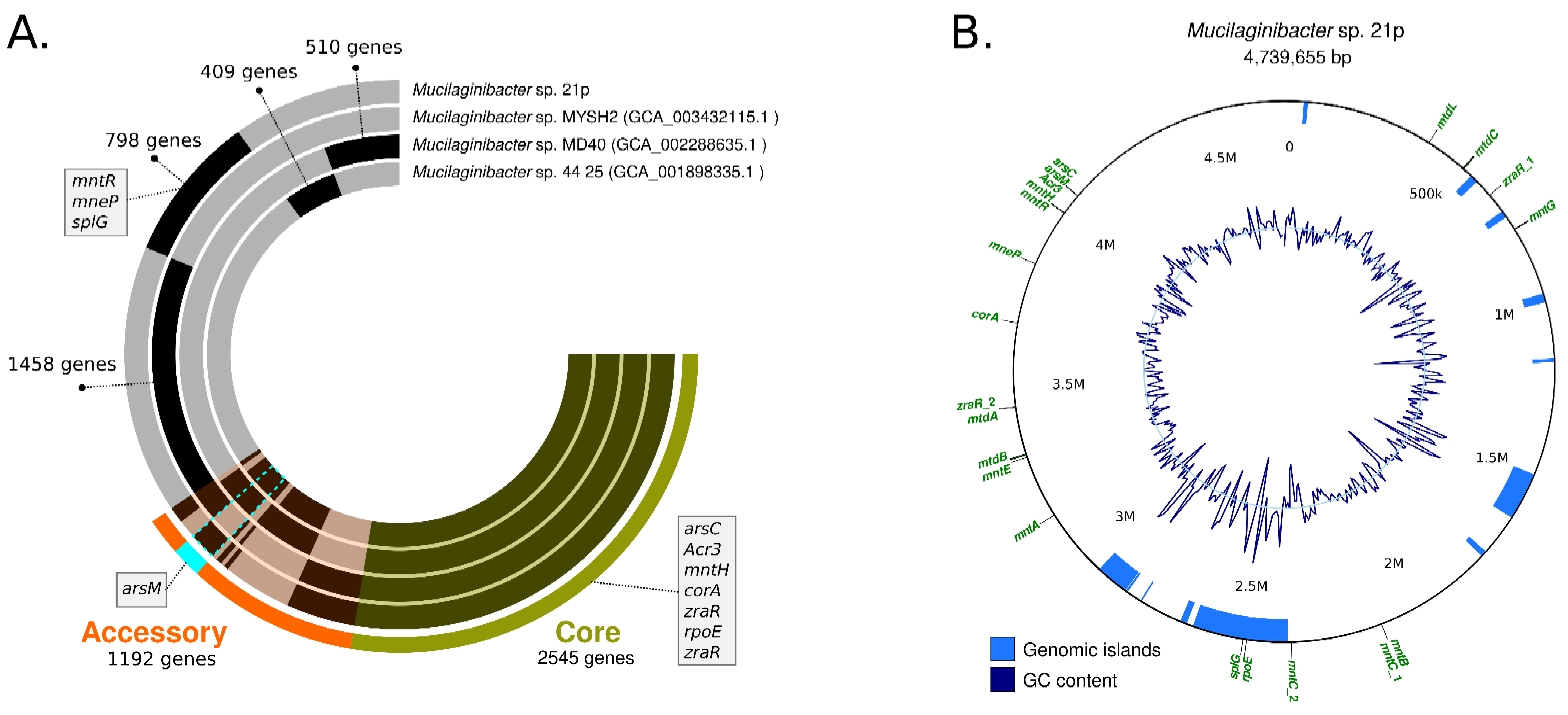 Genes 13 00174 g003