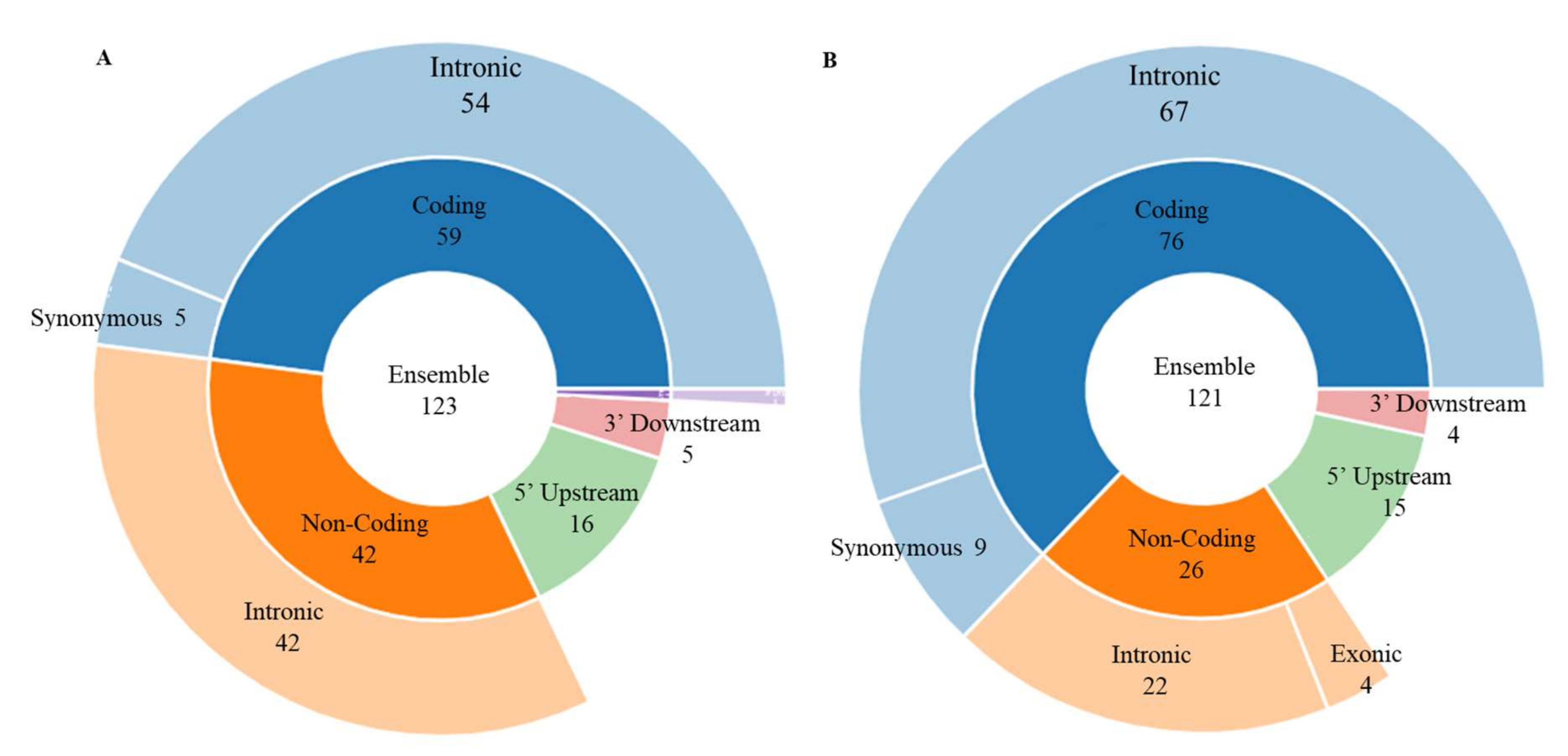 Genes 13 00176 g006