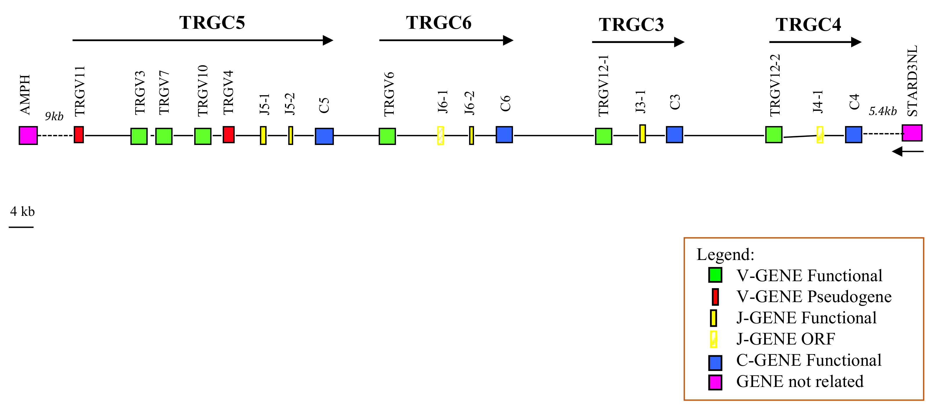 Genes 13 00177 g001