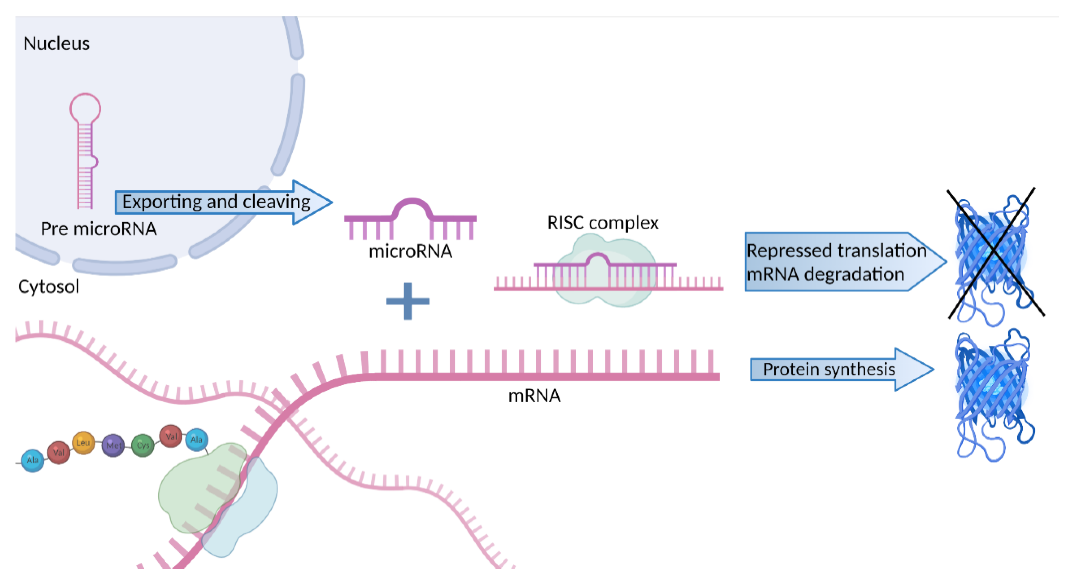 Genes 13 00178 g001