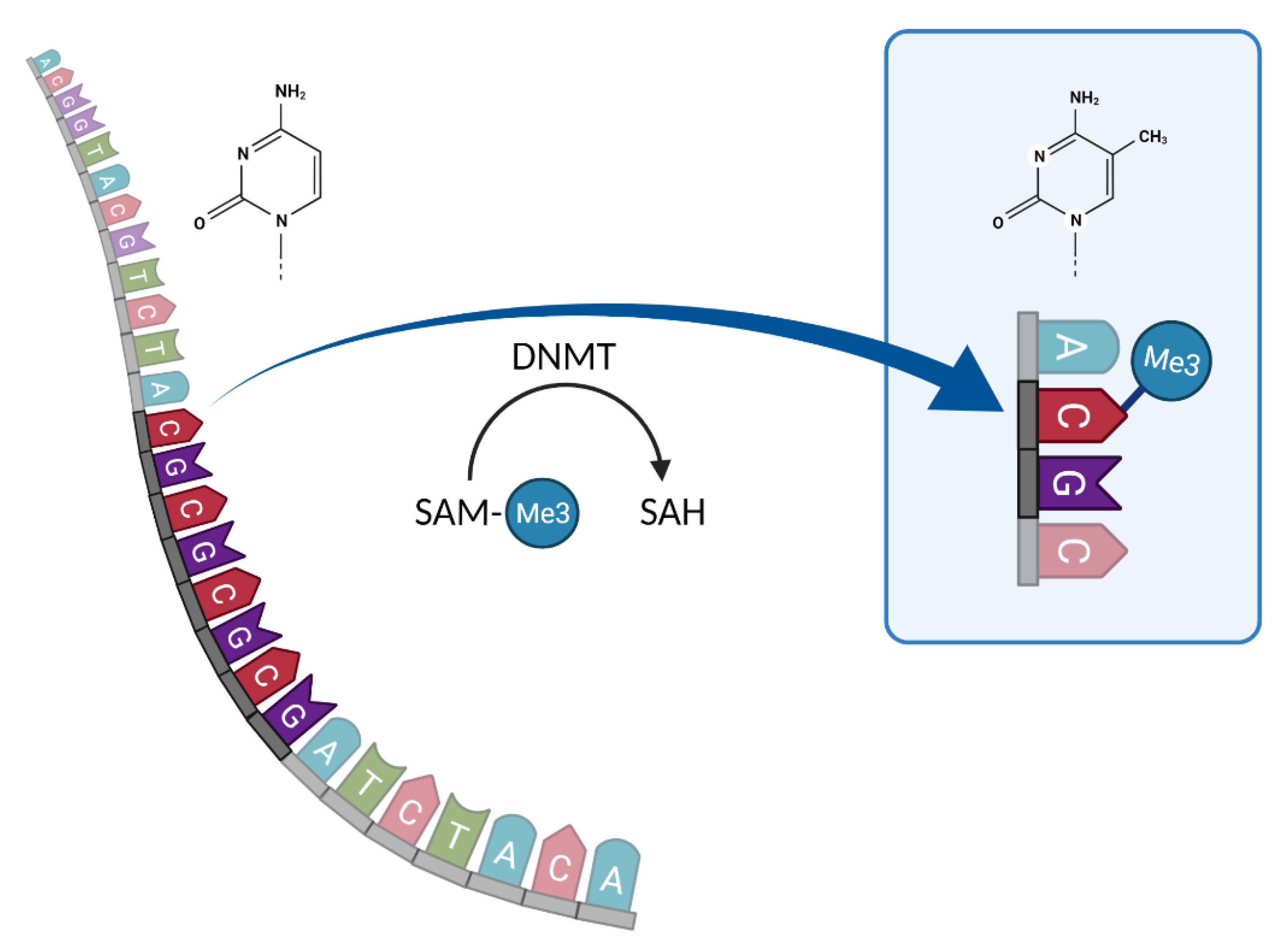 Genes 13 00178 g002
