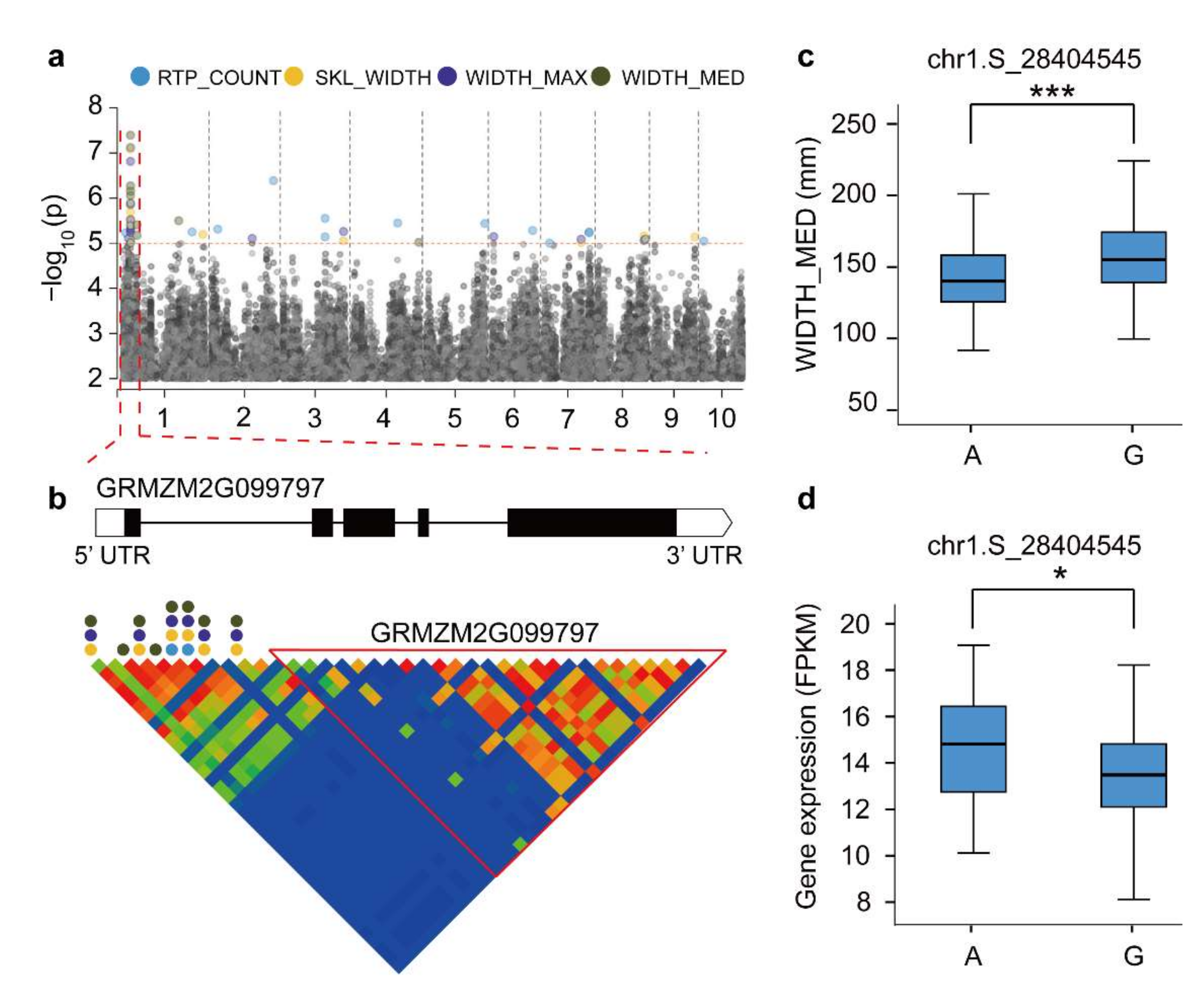Genes 13 00181 g004