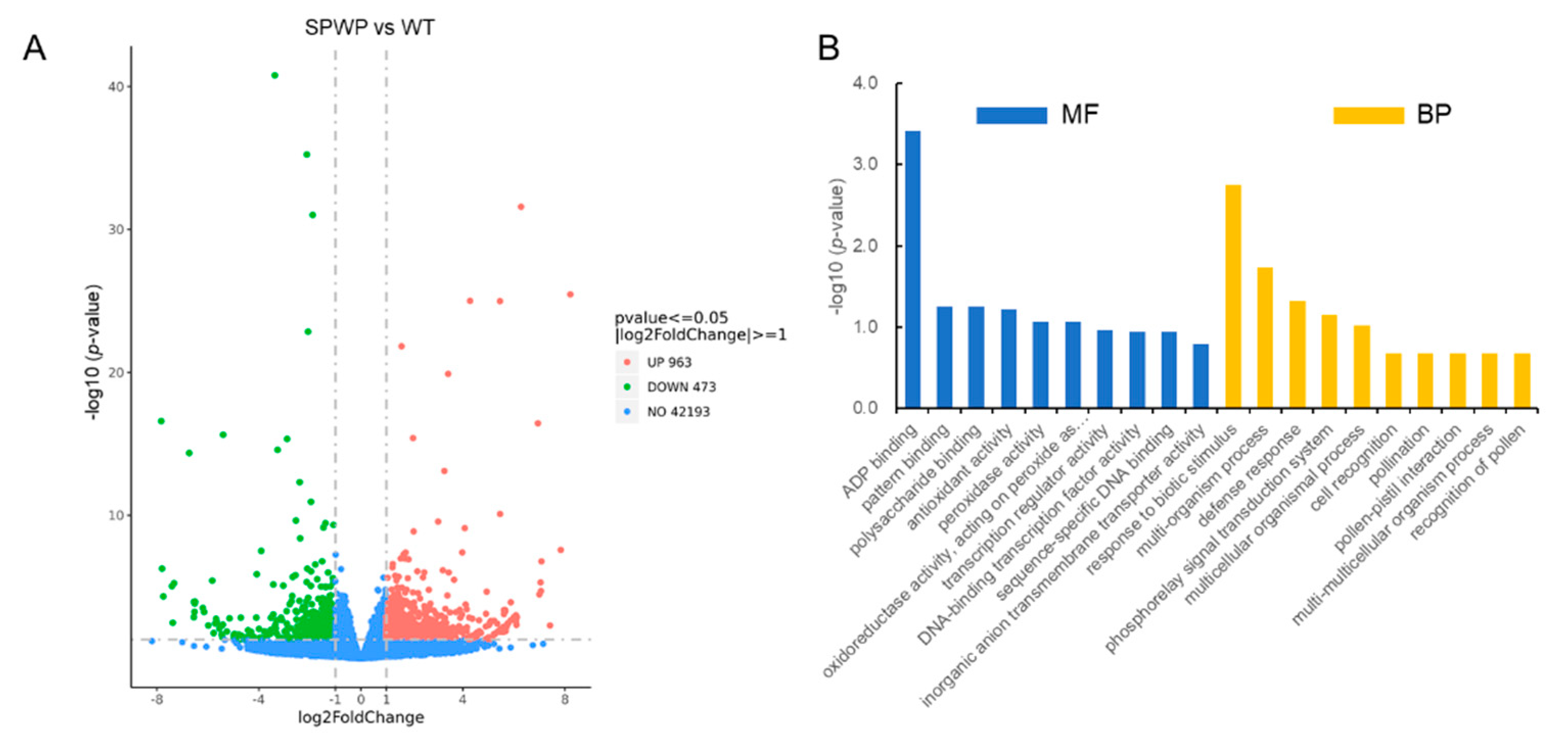 Genes 13 00185 g006