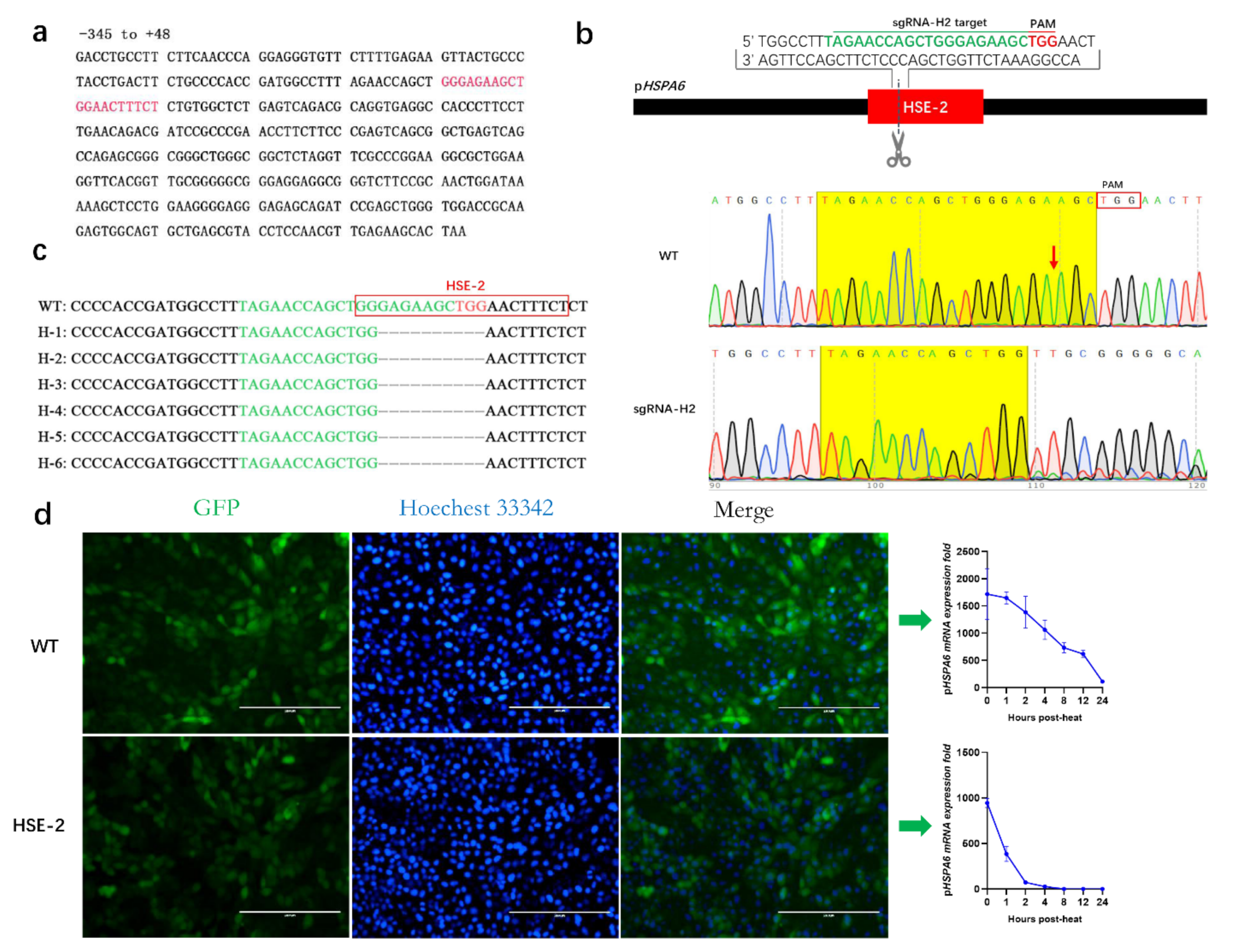 Genes 13 00189 g003