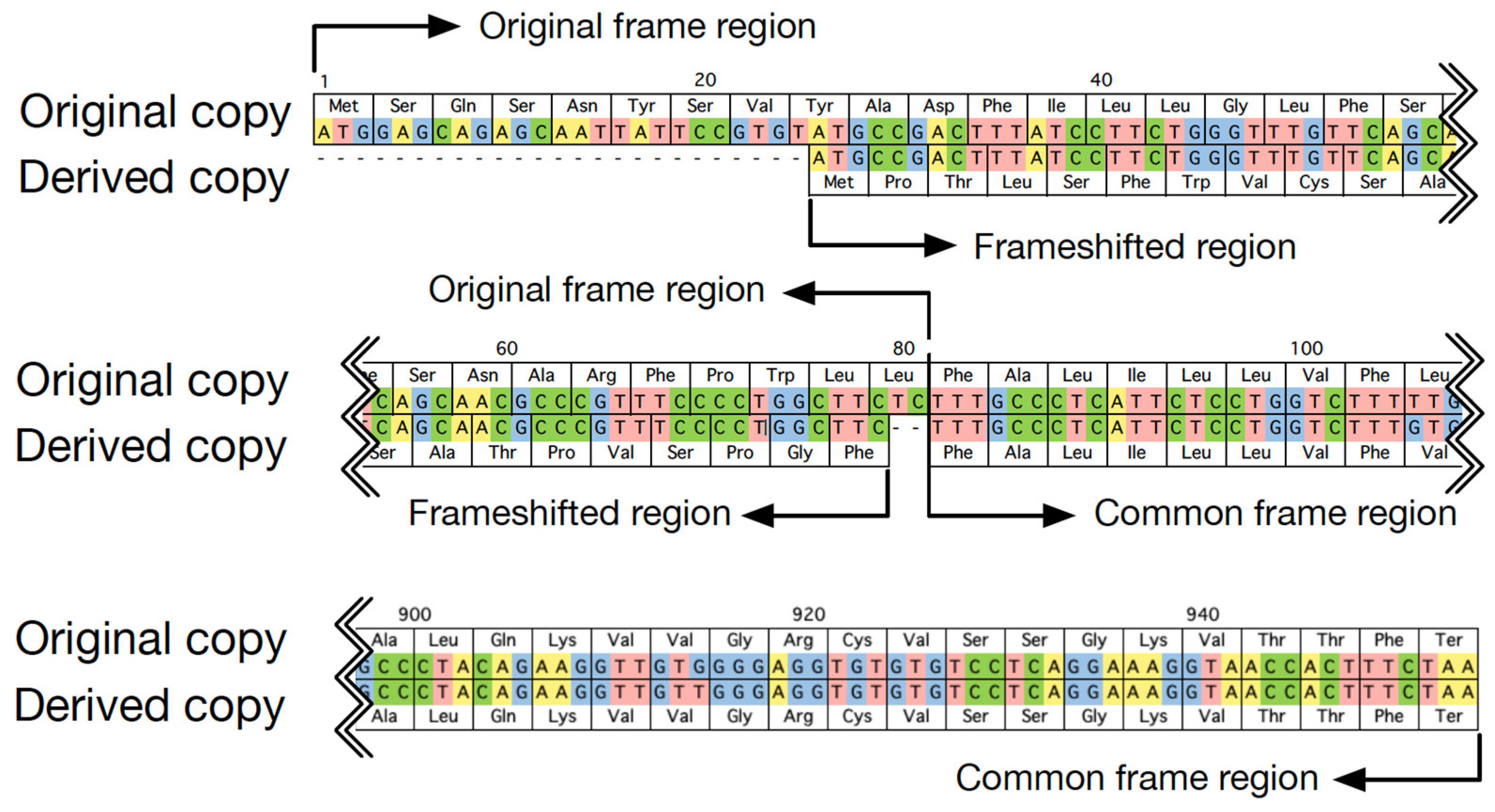 Genes 13 00190 g001