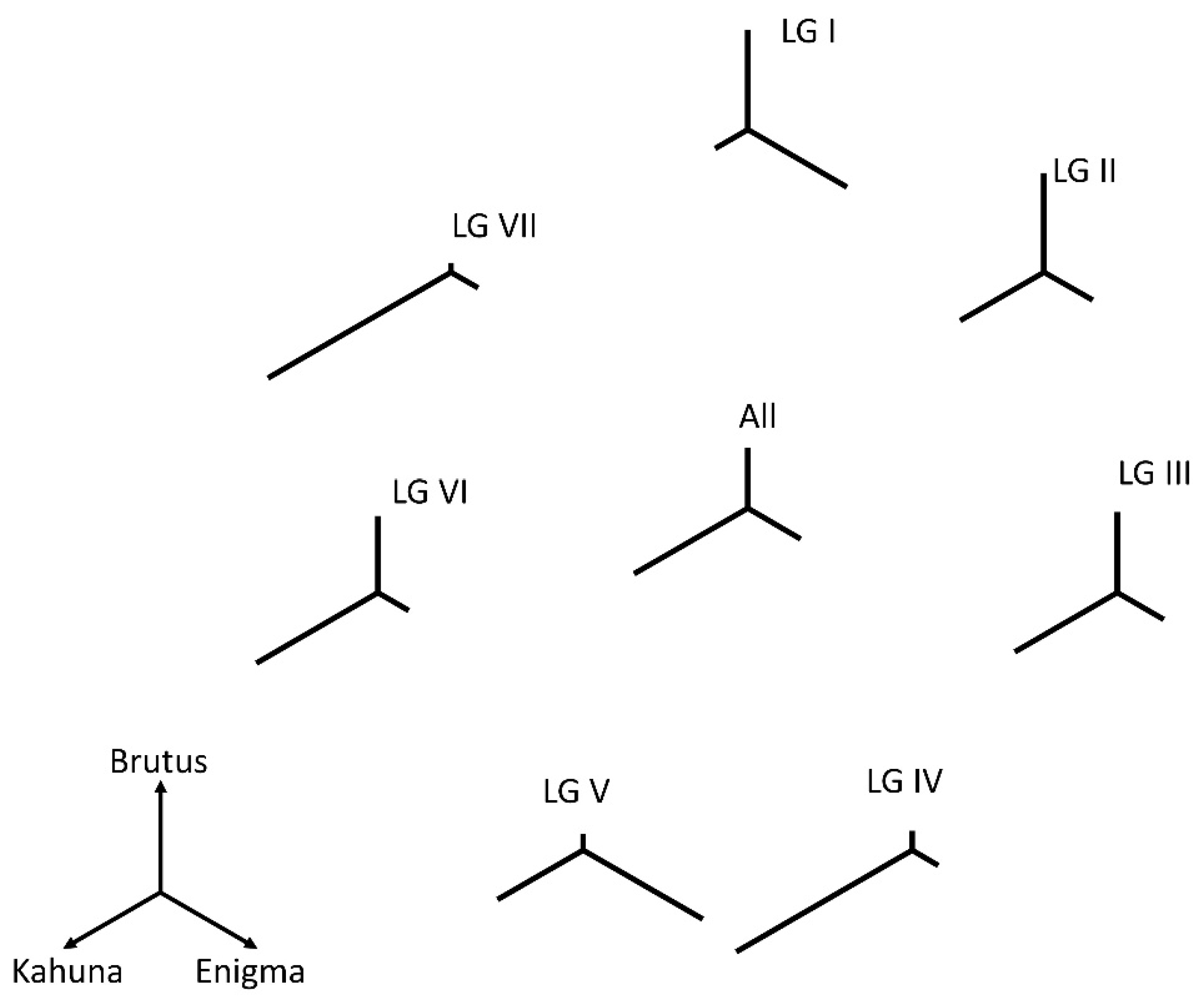 Genes 13 00196 g001 Genes 13 00196 g001