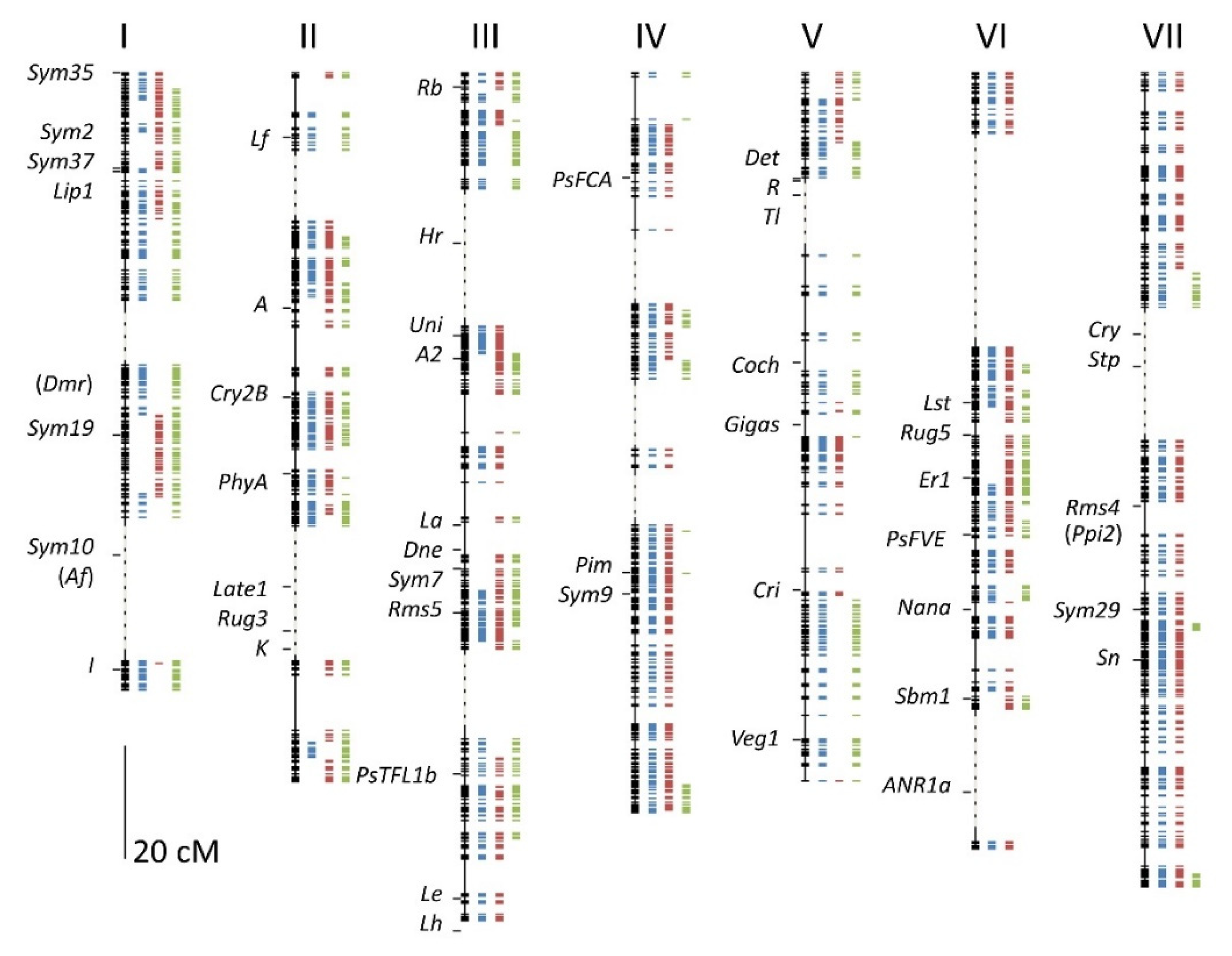 Genes 13 00196 g003 Genes 13 00196 g003