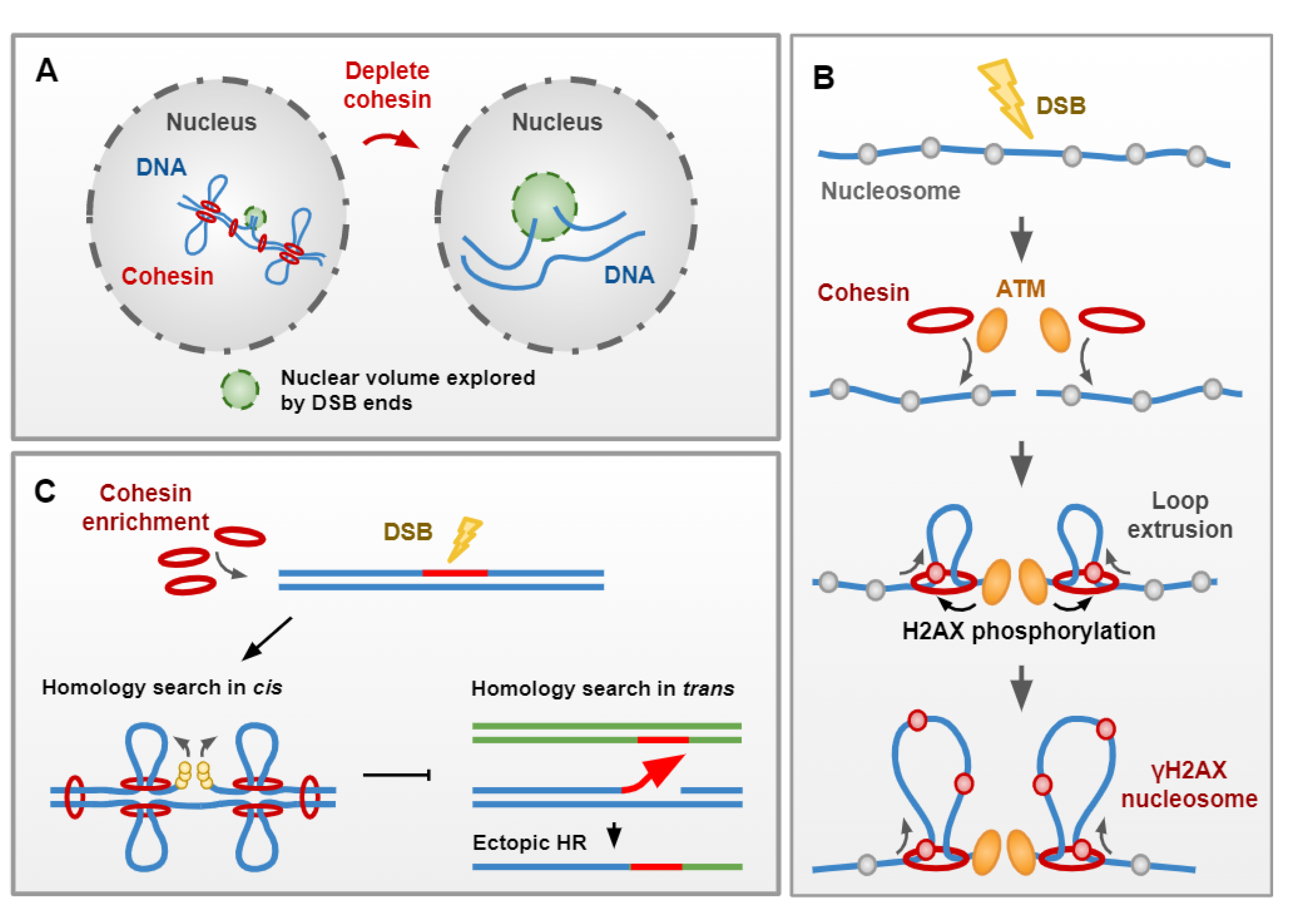 Genes 13 00198 g004 Genes 13 00198 g004