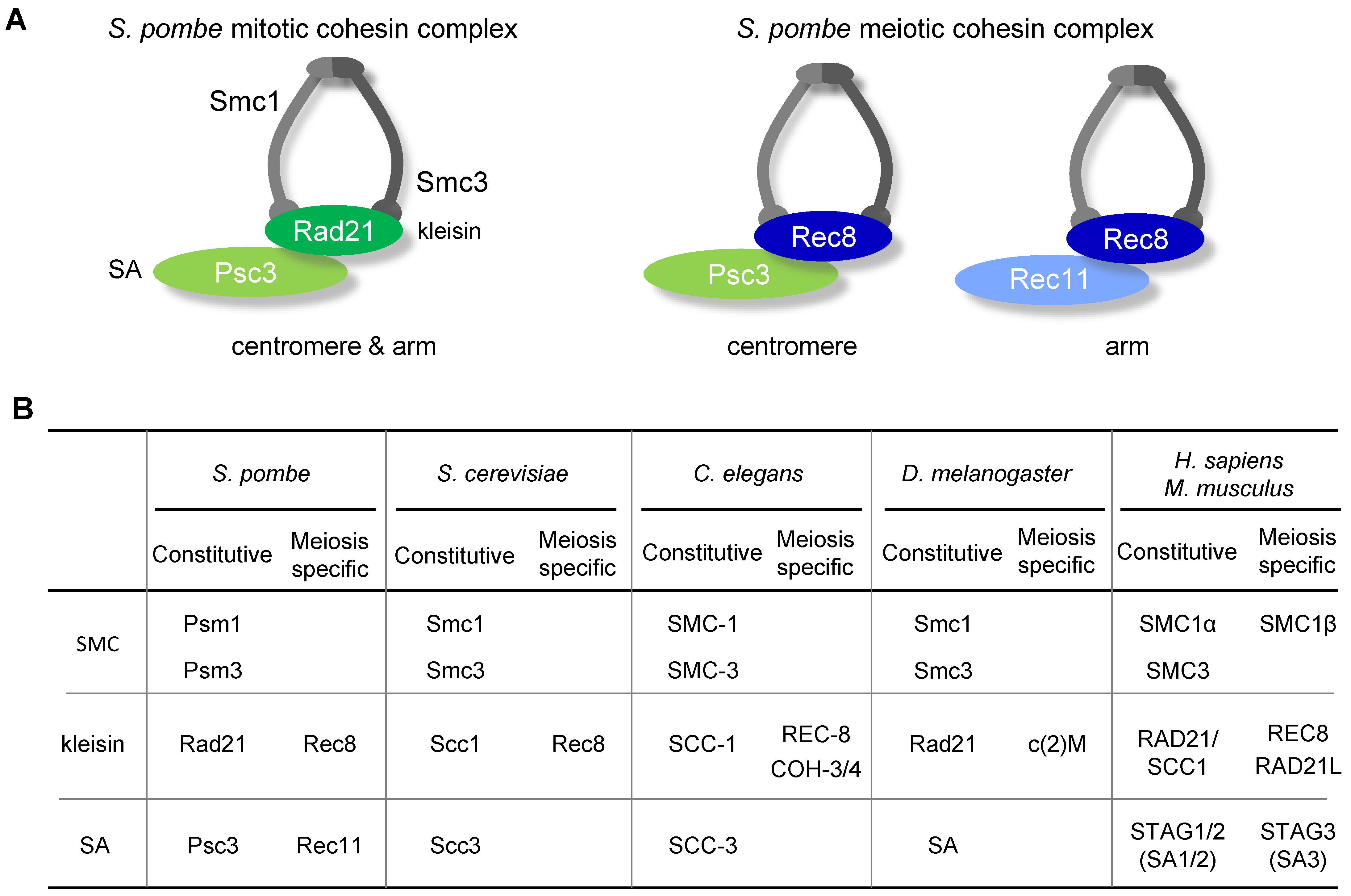 Genes 13 00200 g003 Genes 13 00200 g003
