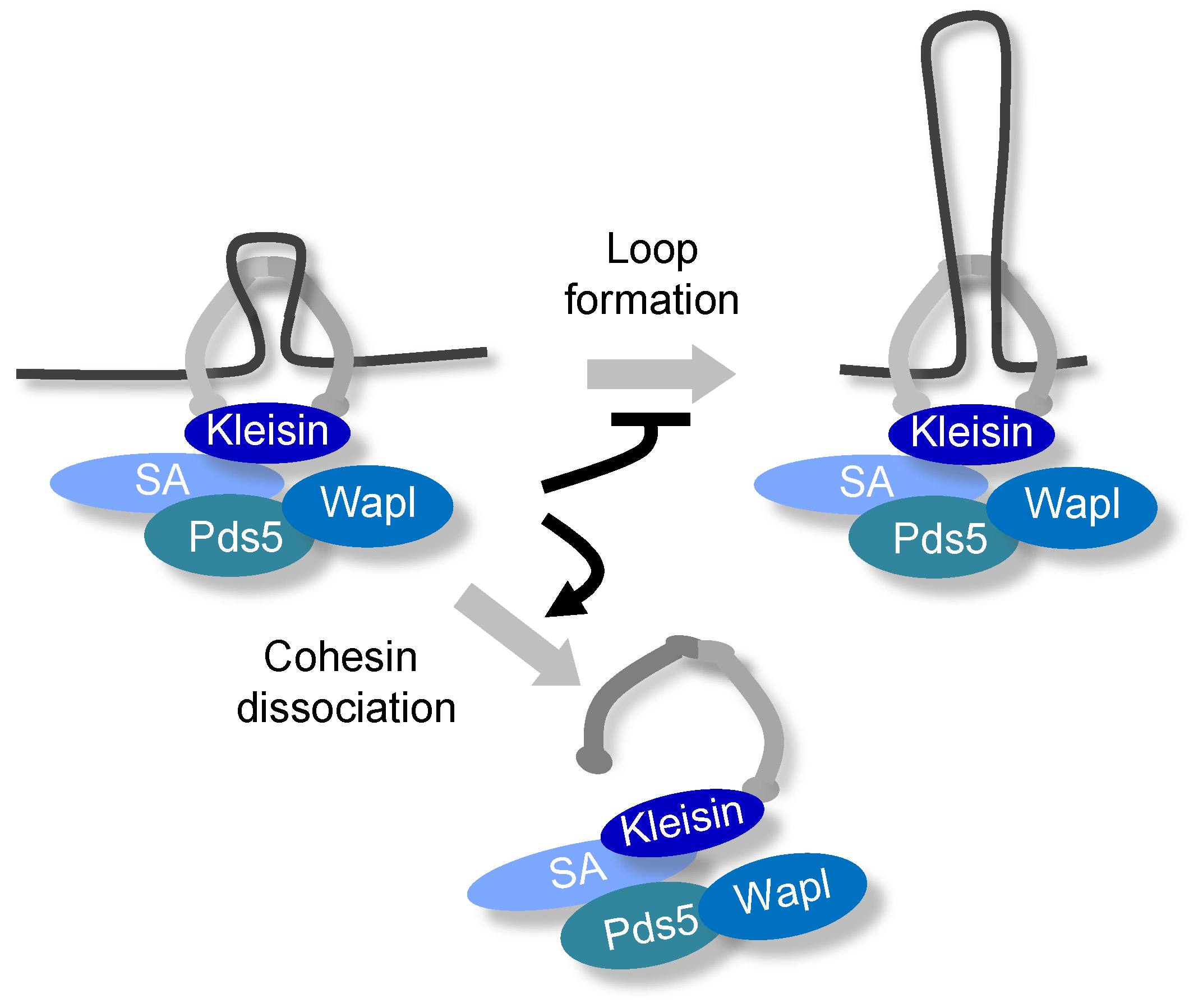 Genes 13 00200 g006 Genes 13 00200 g006