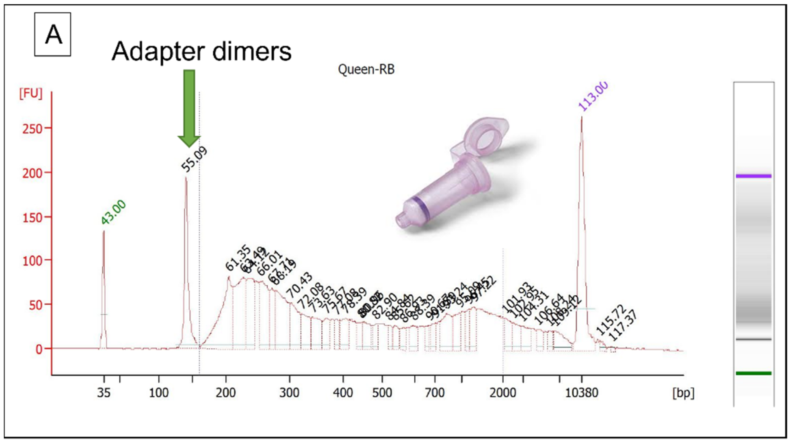 Genes 13 00202 g009a