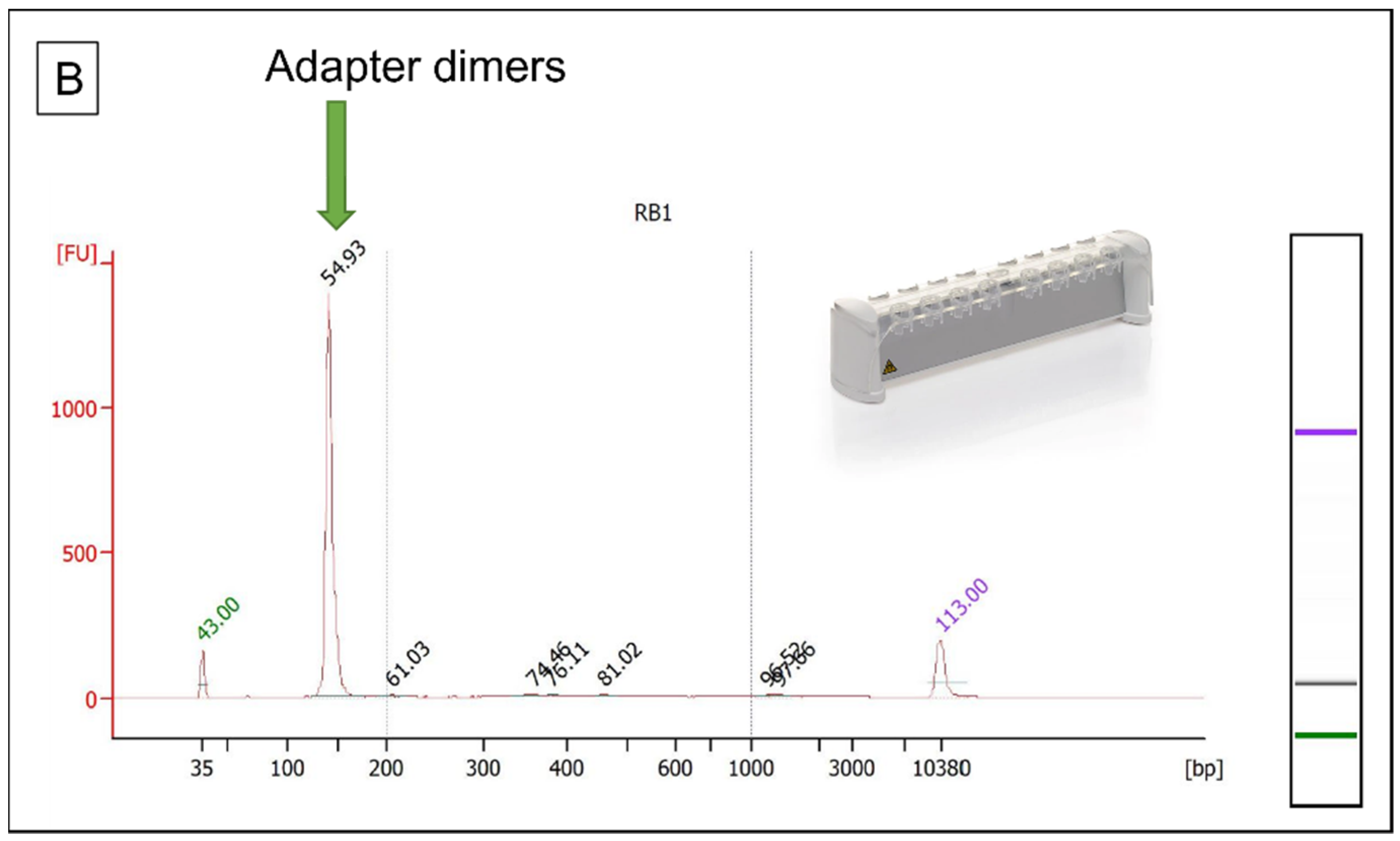 Genes 13 00202 g009b