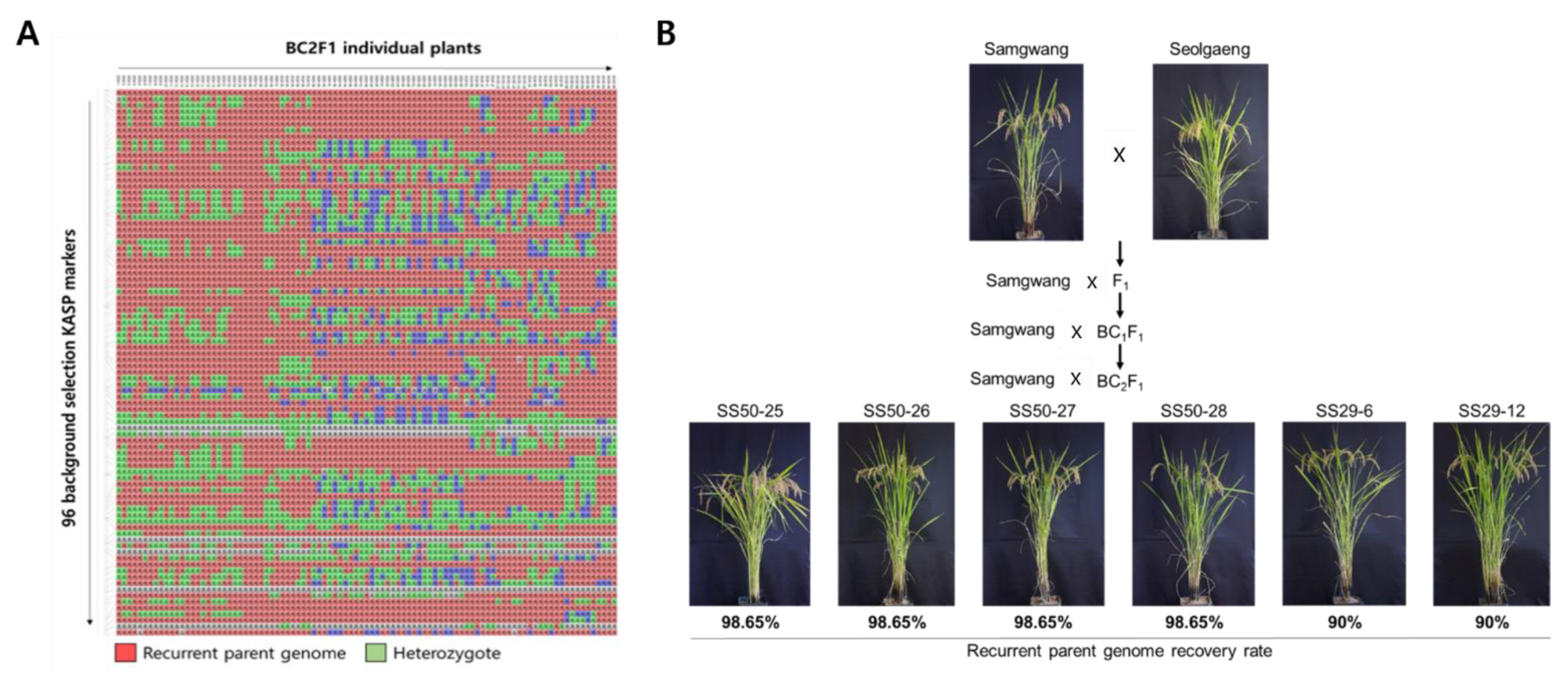 Genes 13 00210 g005