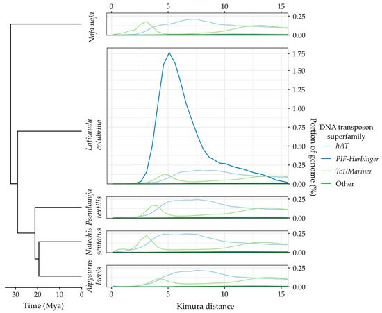 Genes 13 00217 g0a1 550