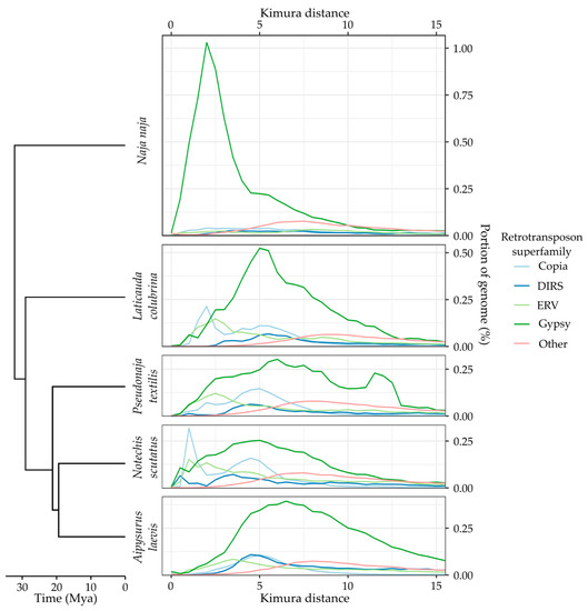 Genes 13 00217 g0a2 550