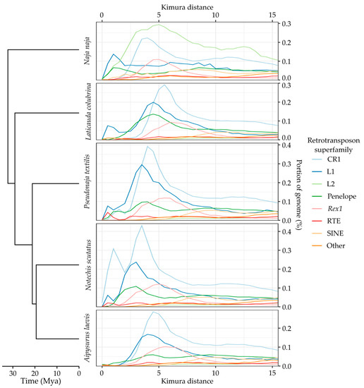Genes 13 00217 g0a3 550