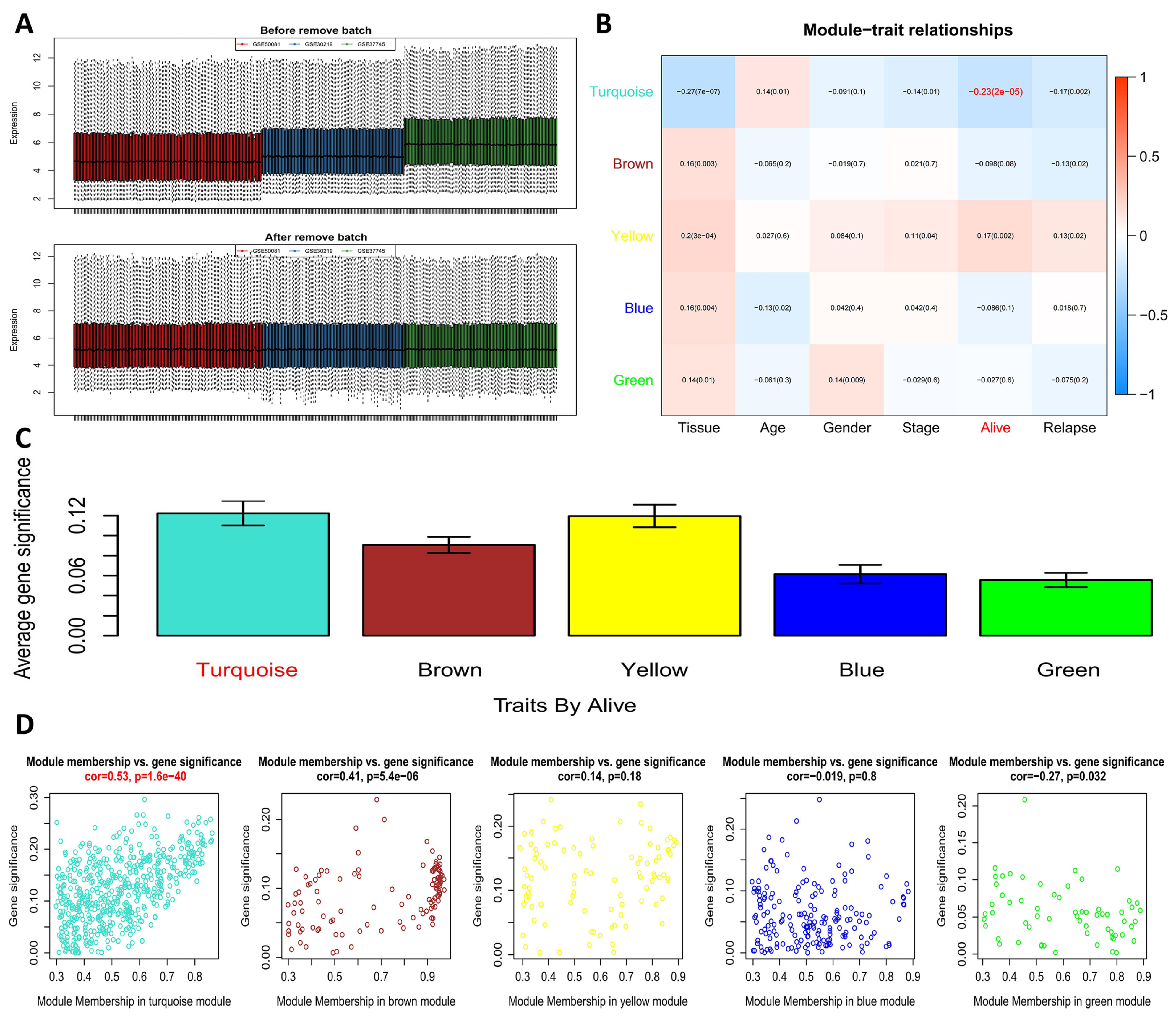 Genes 13 00238 g002