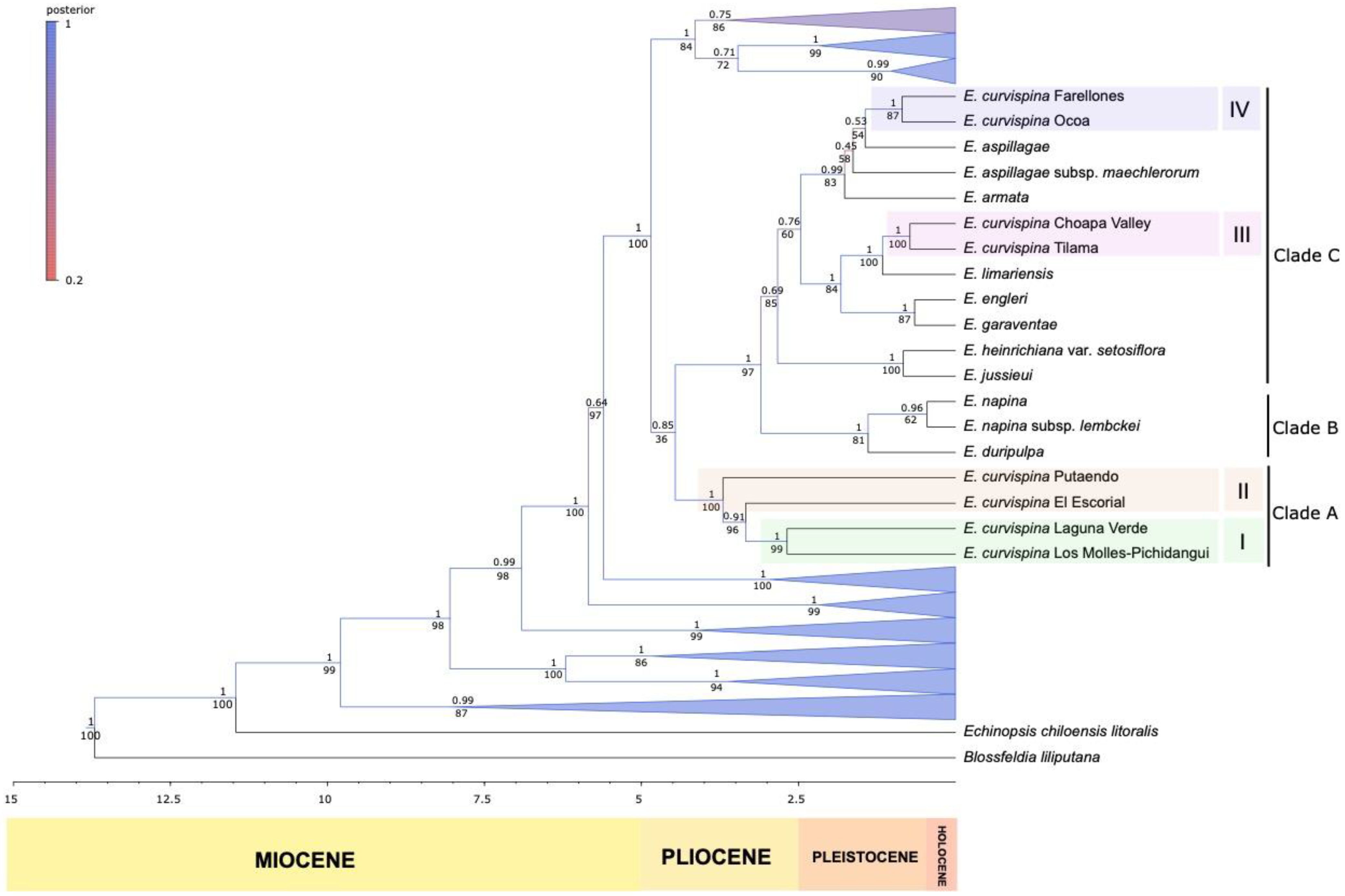 Genes 13 00240 g002