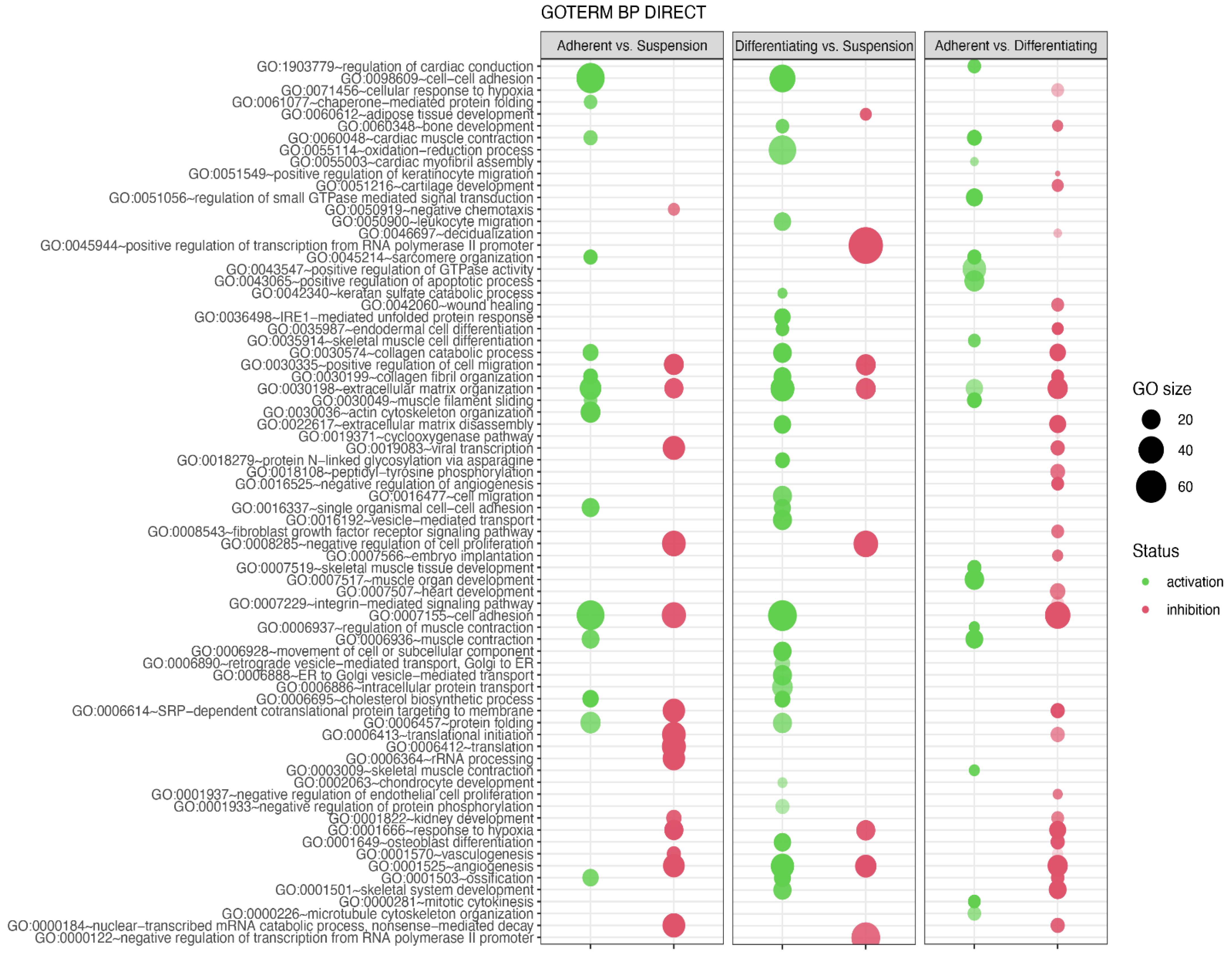 Genes 13 00242 g006
