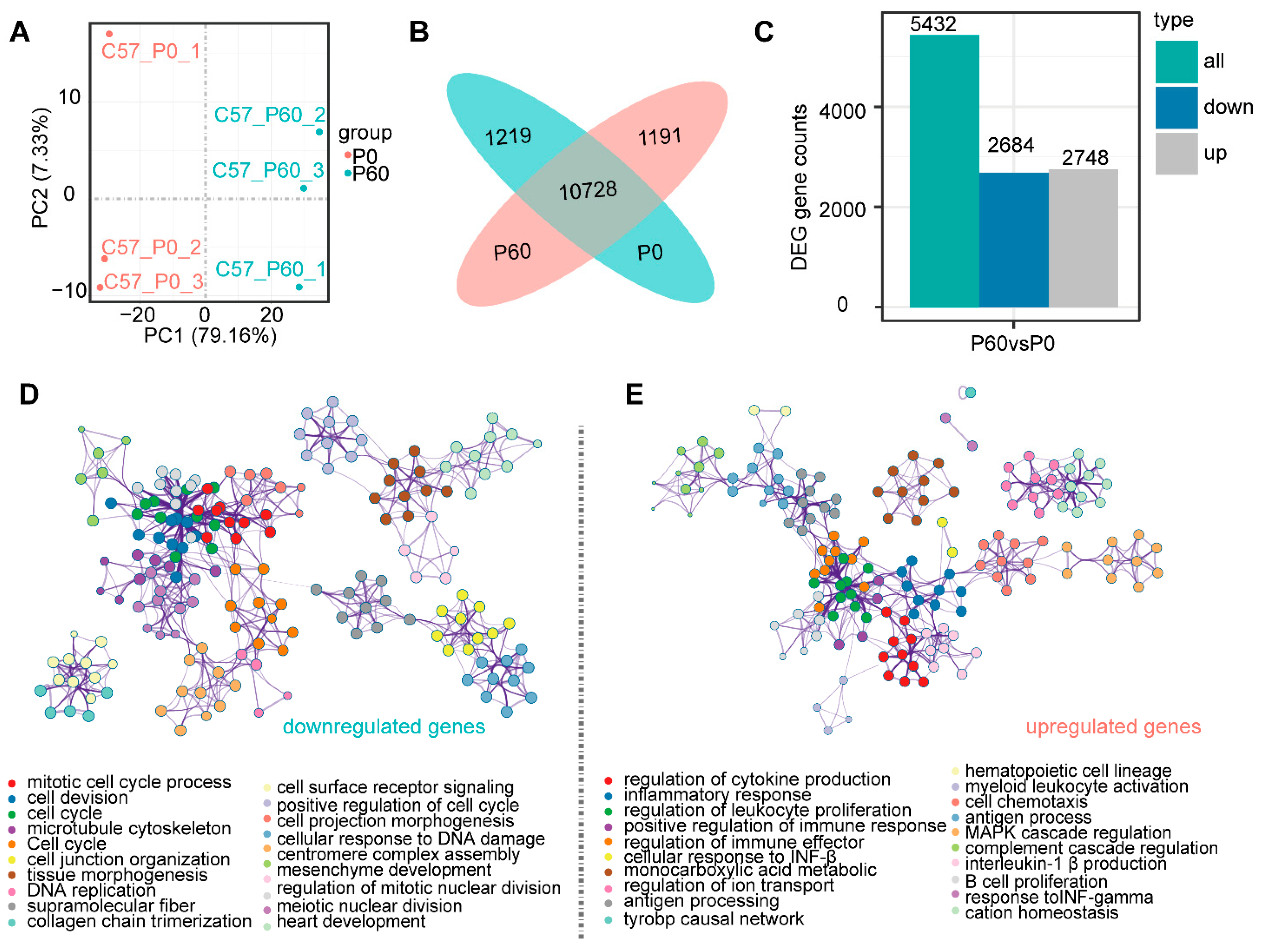 Genes 13 00250 g002