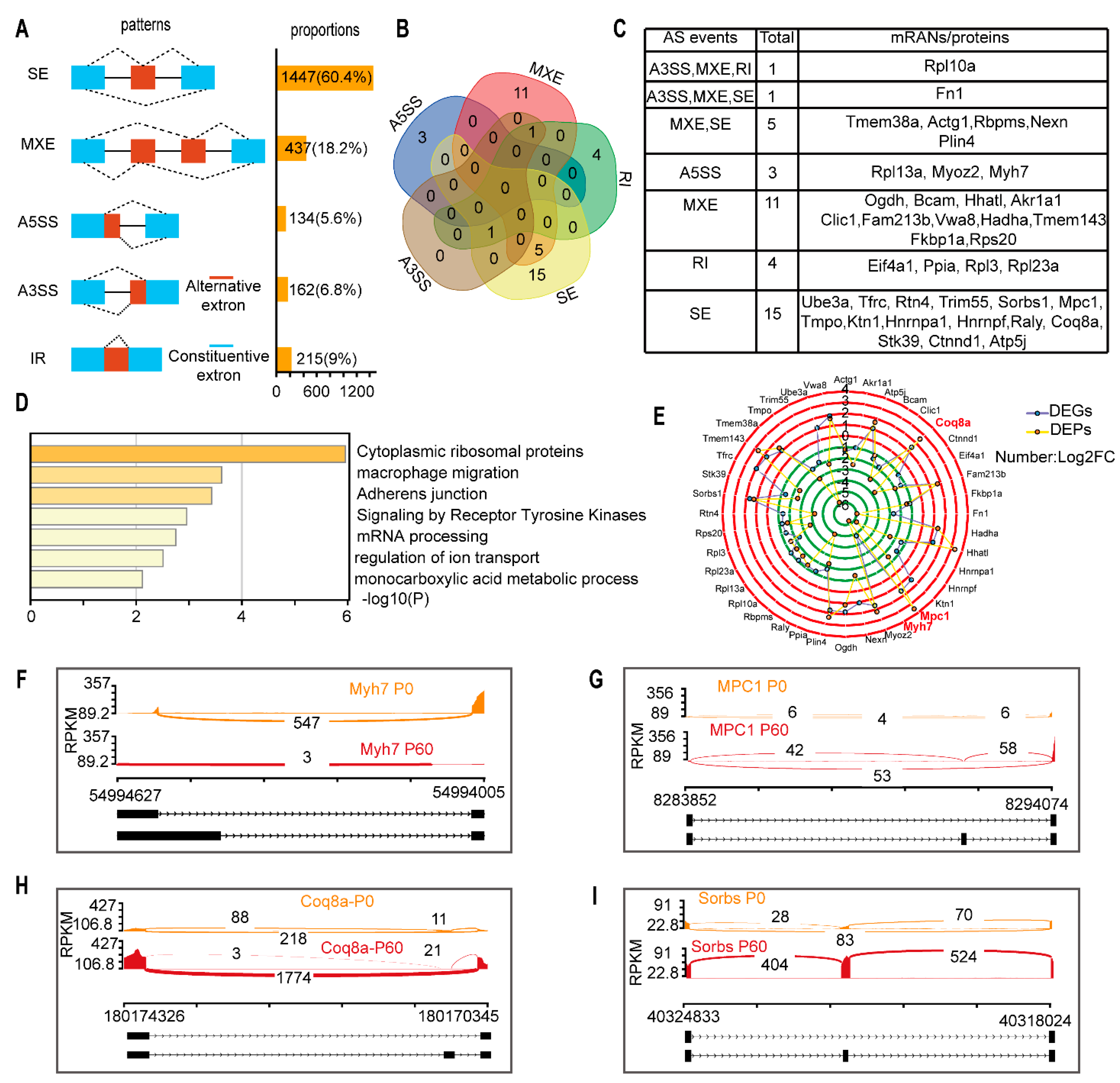 Genes 13 00250 g004