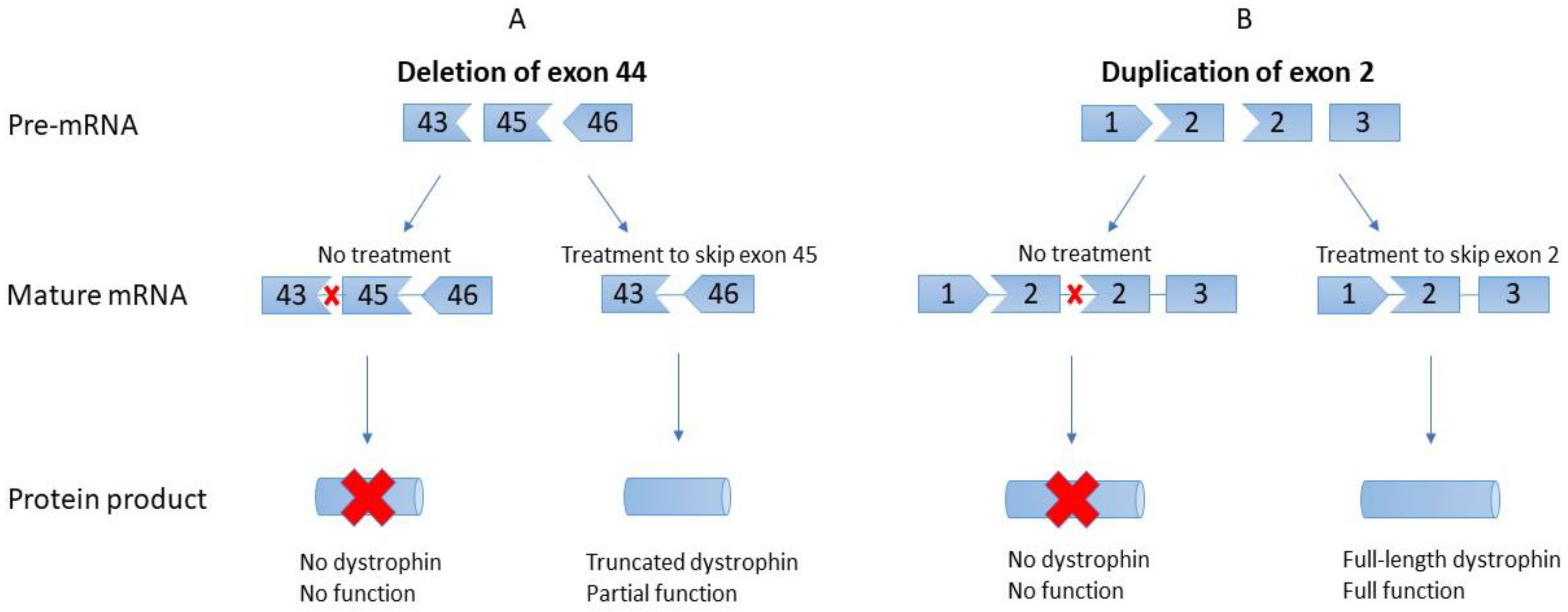 Genes 13 00257 g001