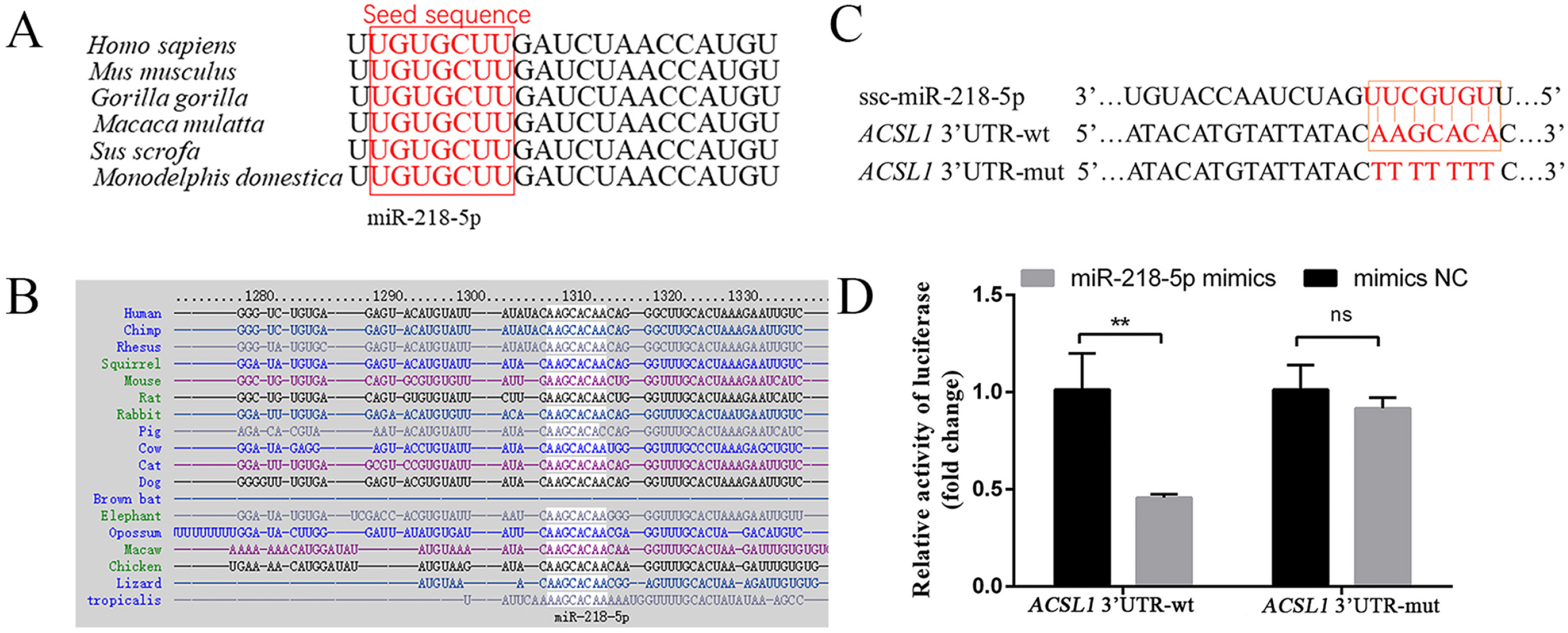 Genes 13 00260 g004