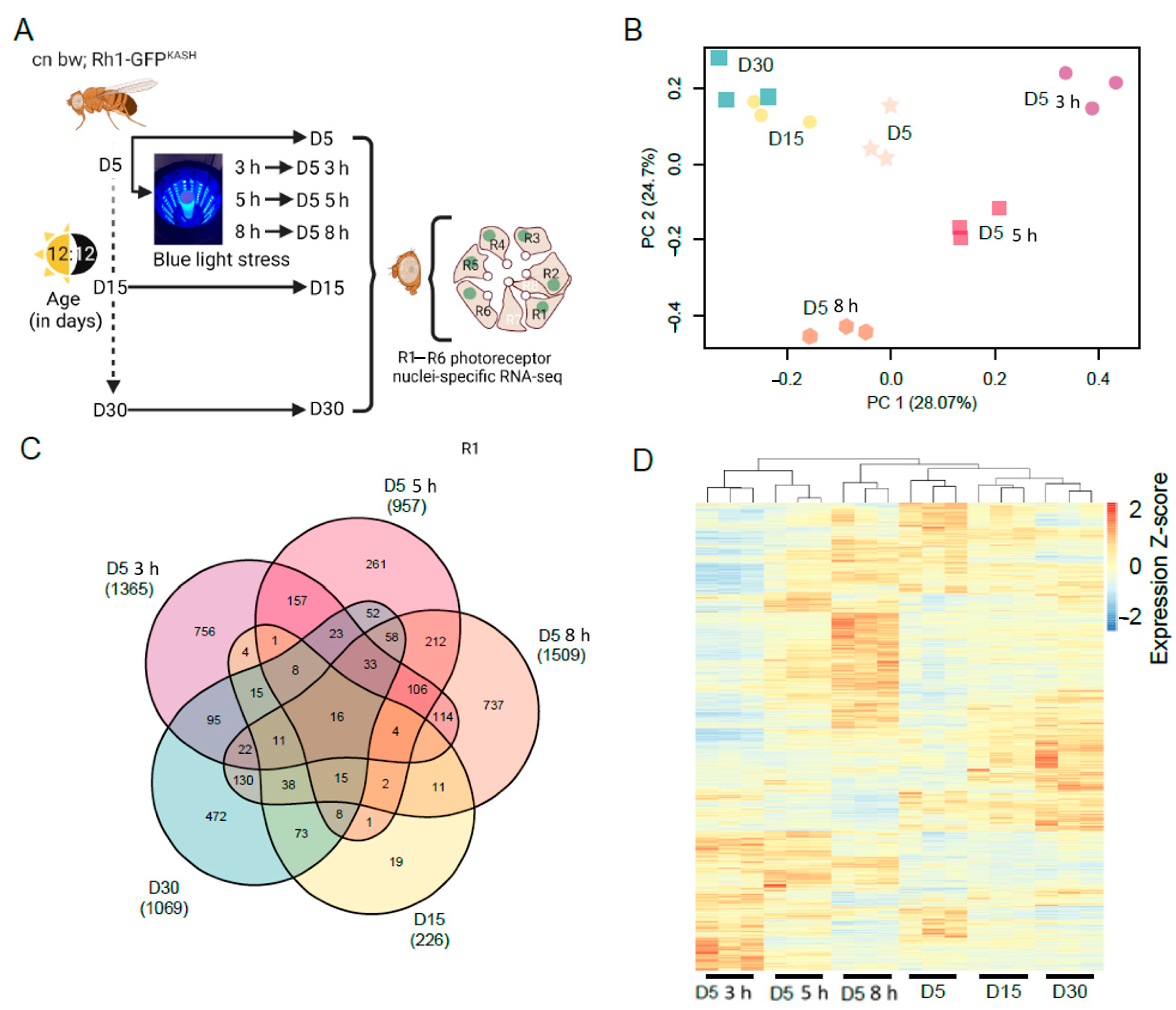 Genes 13 00264 g001