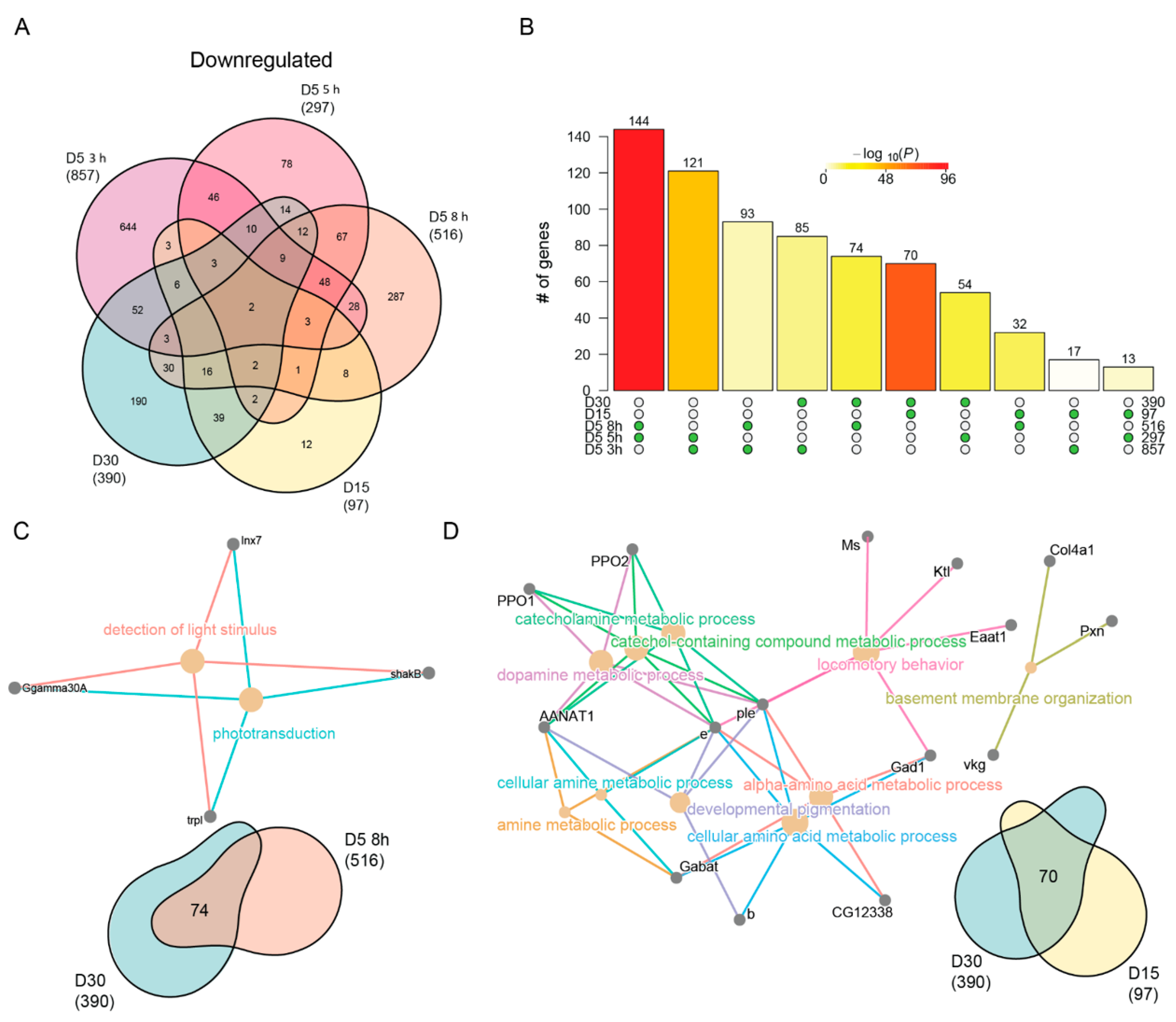 Genes 13 00264 g005