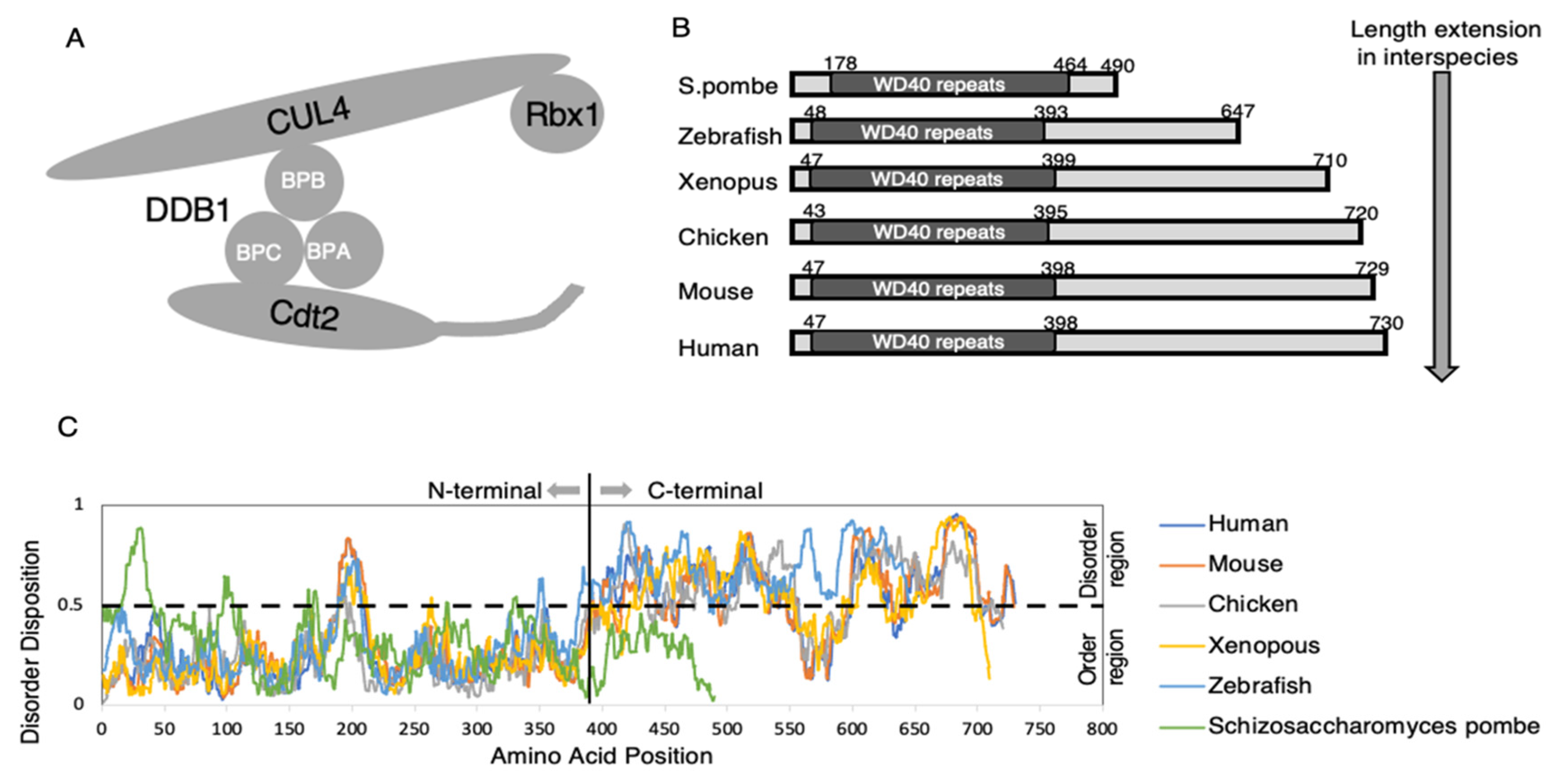 Genes 13 00266 g001