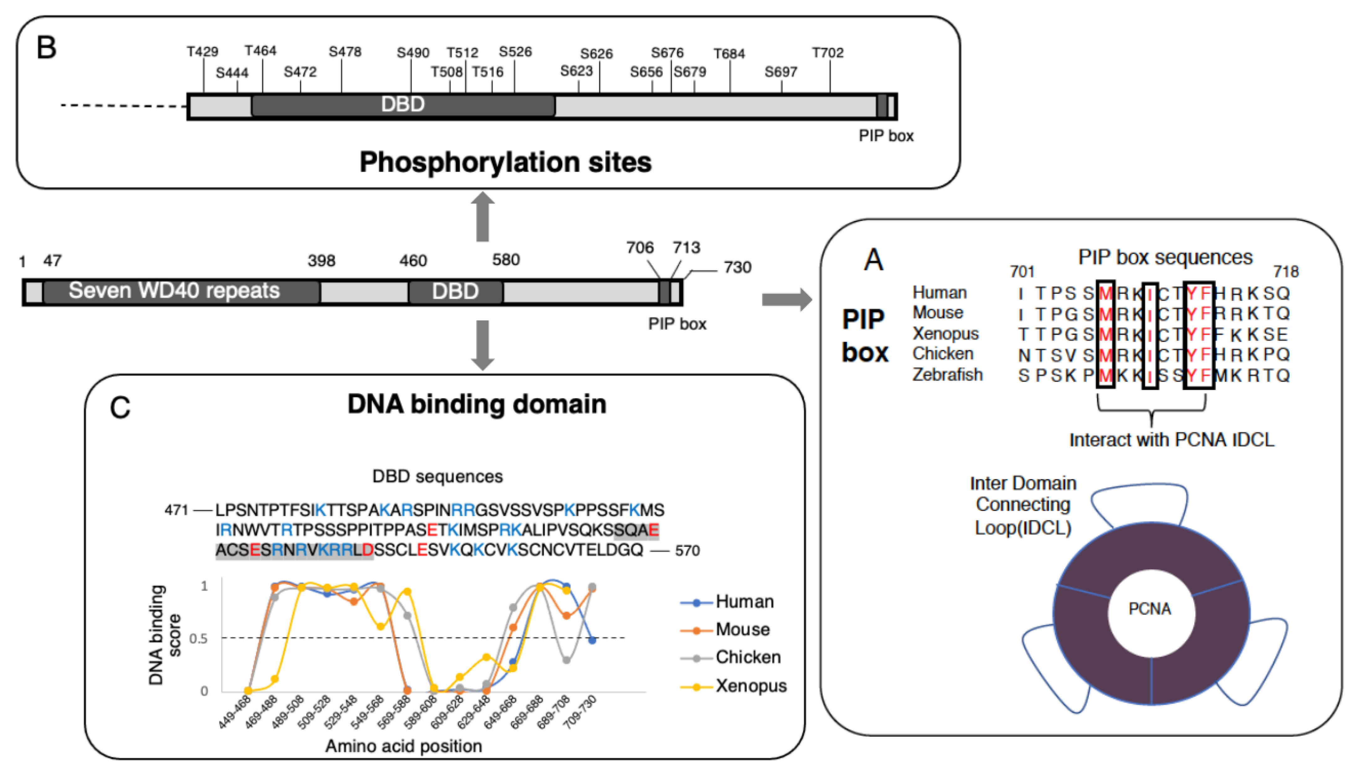 Genes 13 00266 g005