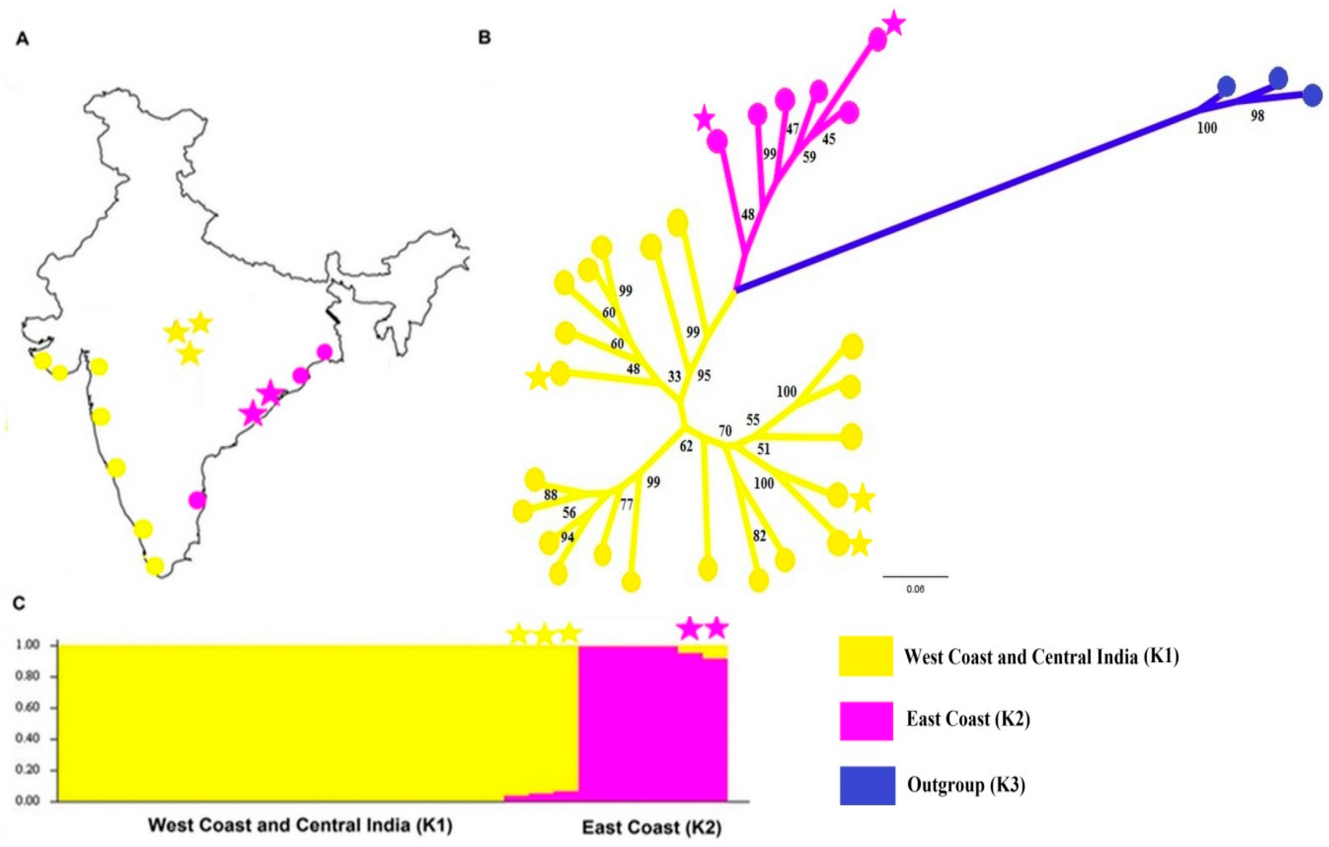 Genes 13 00267 g001 Genes 13 00267 g001