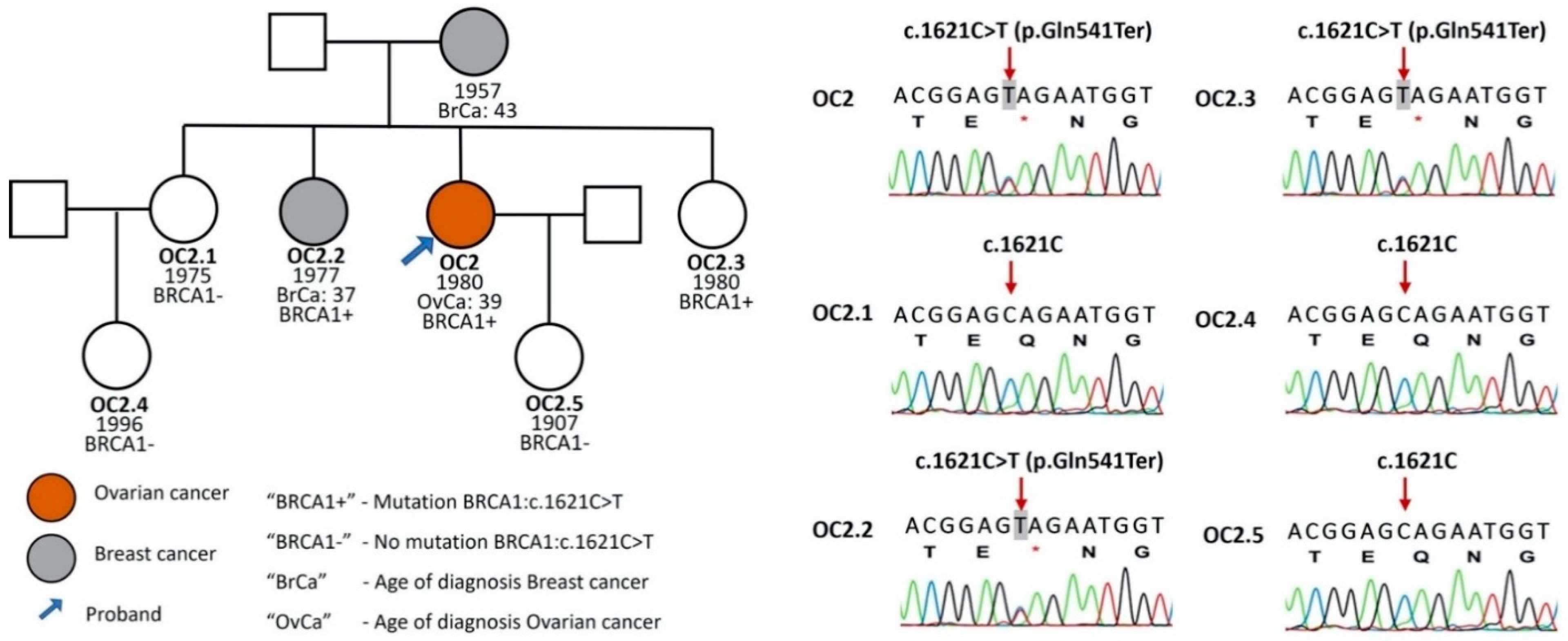 Genes 13 00268 g003