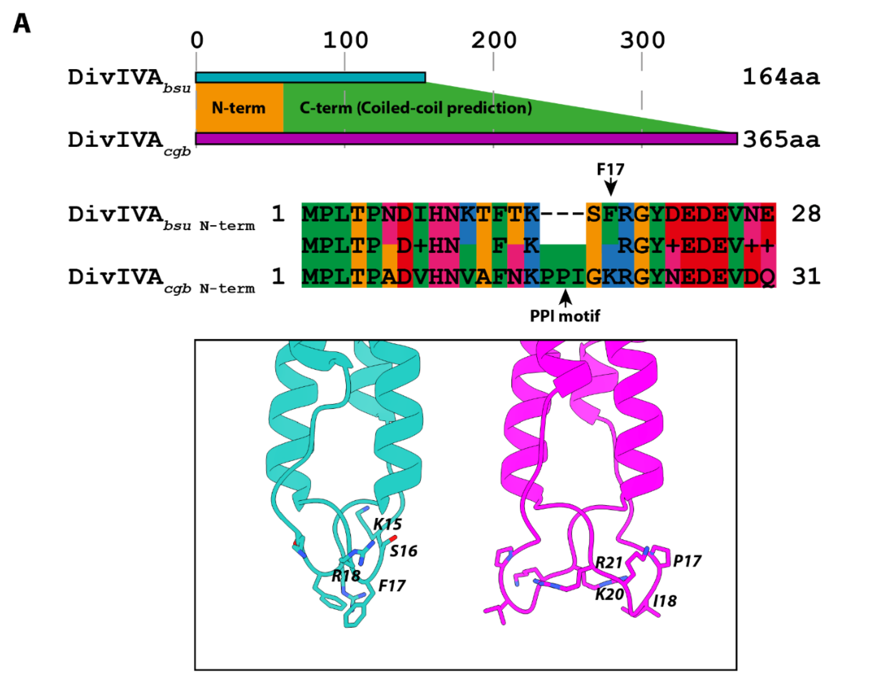 Genes 13 00278 g001a