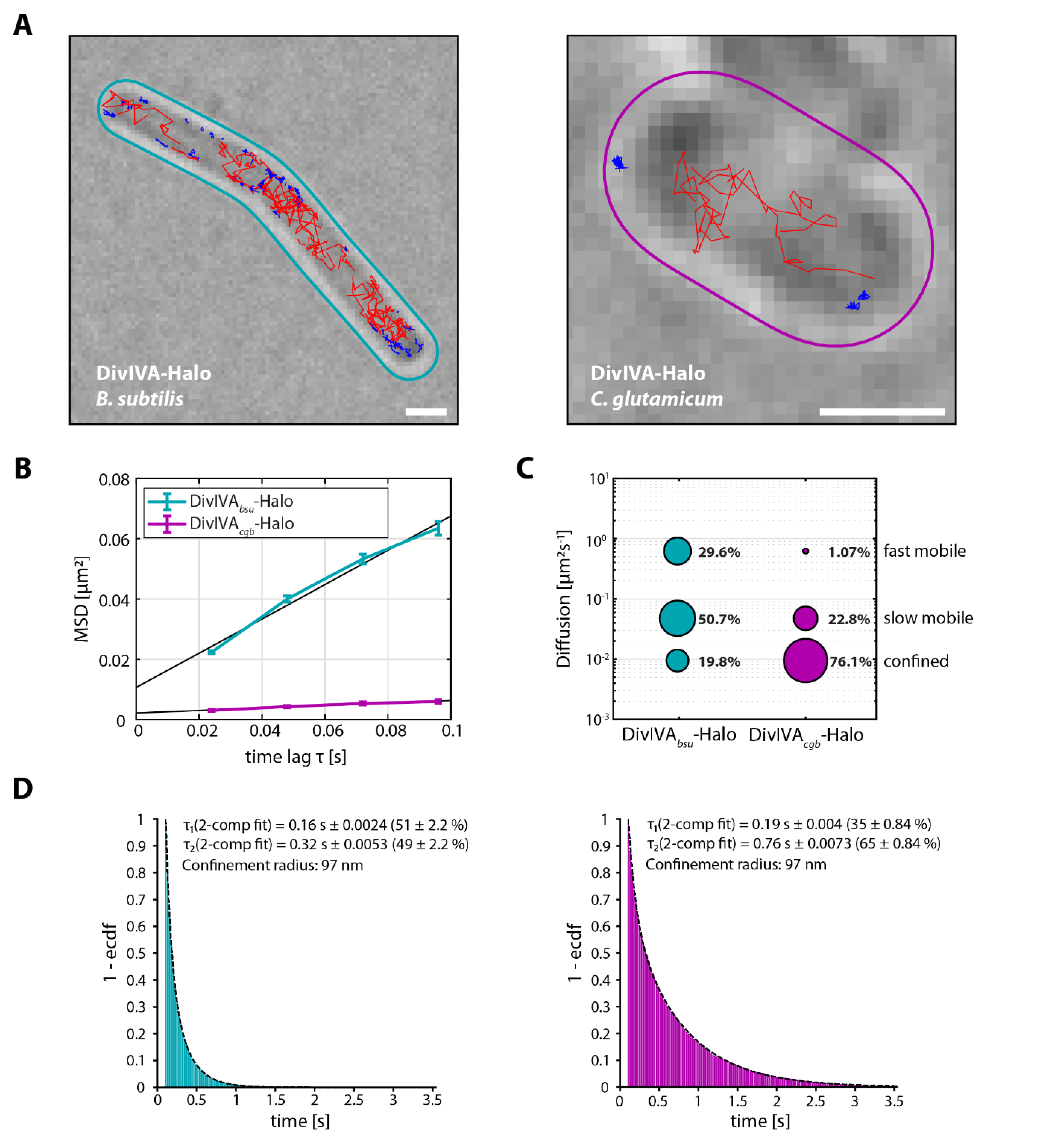 Genes 13 00278 g002a