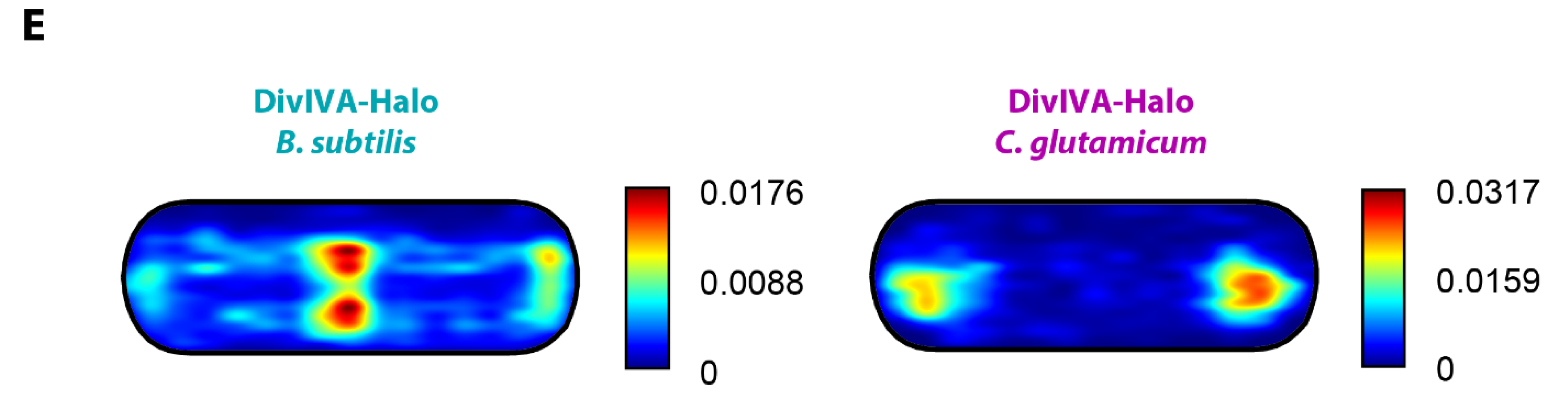 Genes 13 00278 g002b
