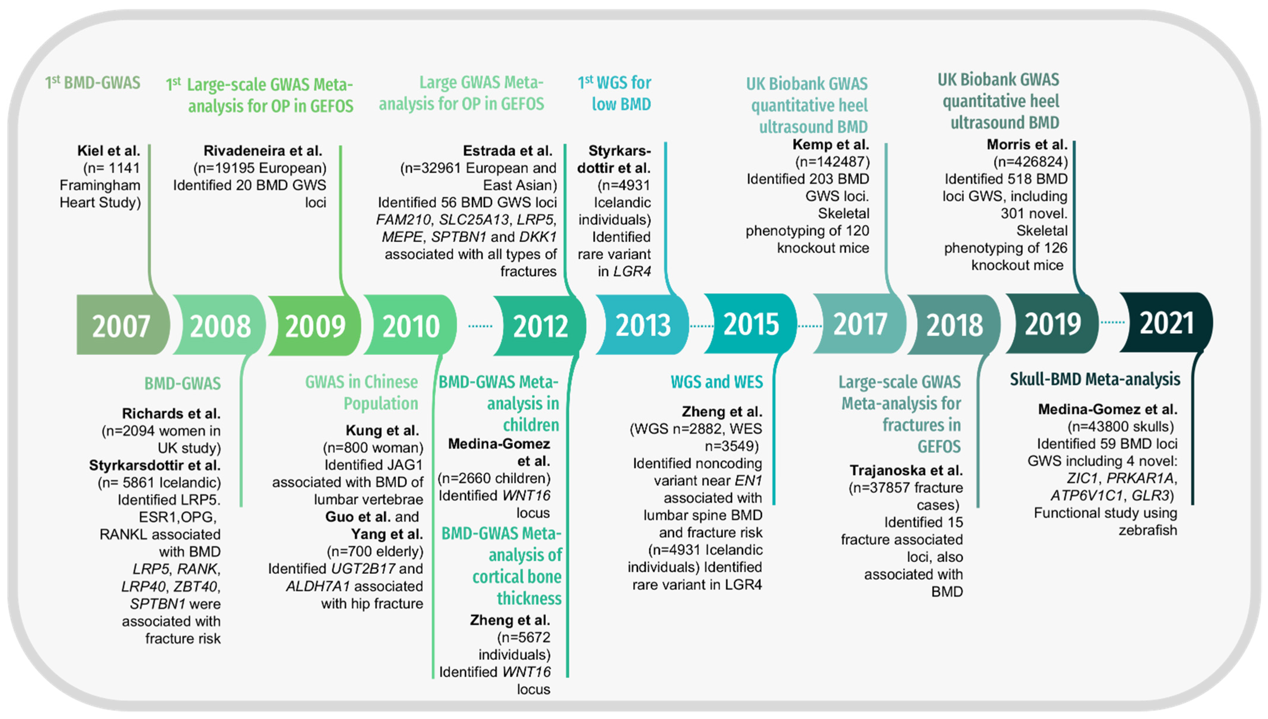 Genes 13 00279 g001 Genes 13 00279 g001