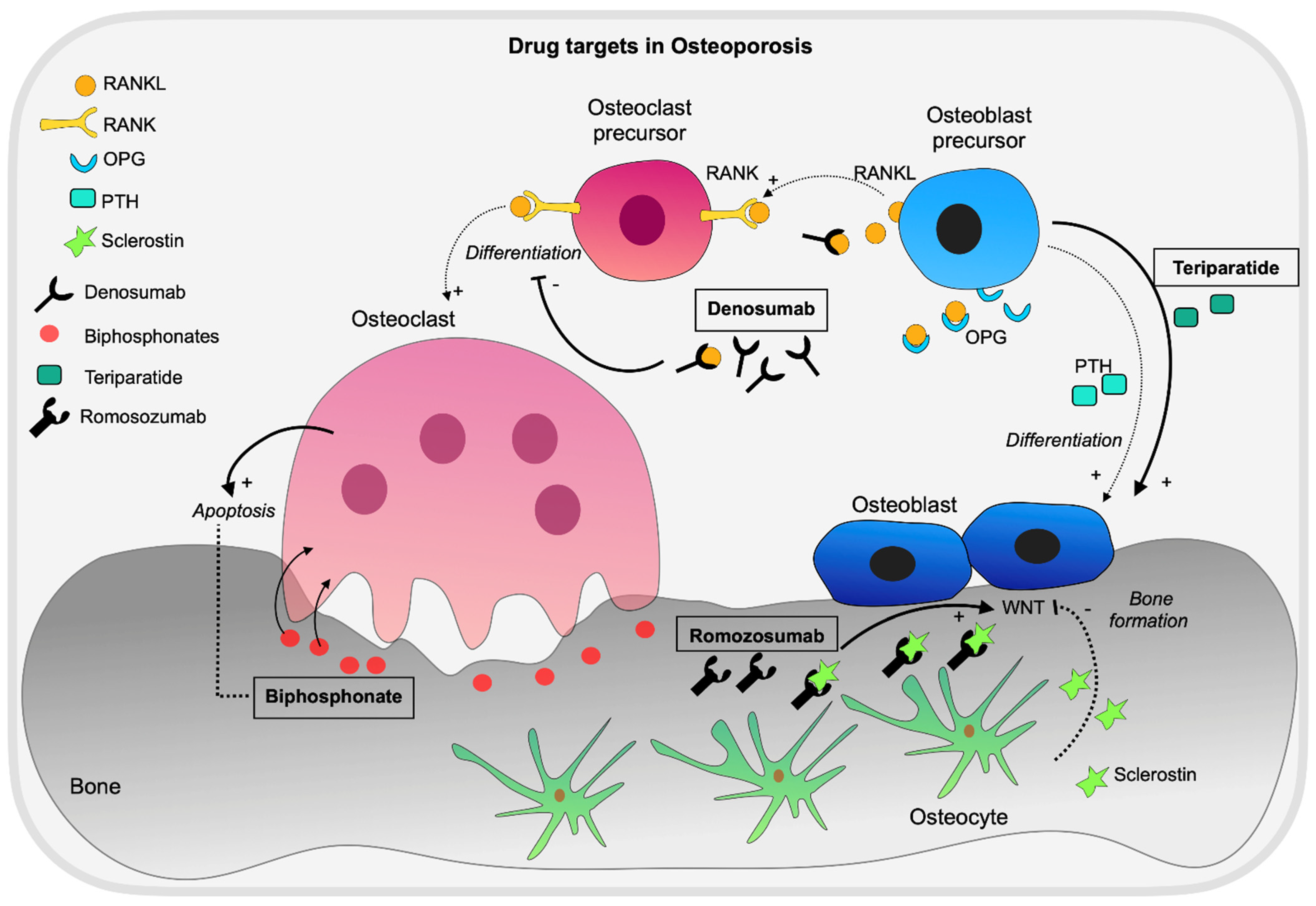 Genes 13 00279 g002 Genes 13 00279 g002