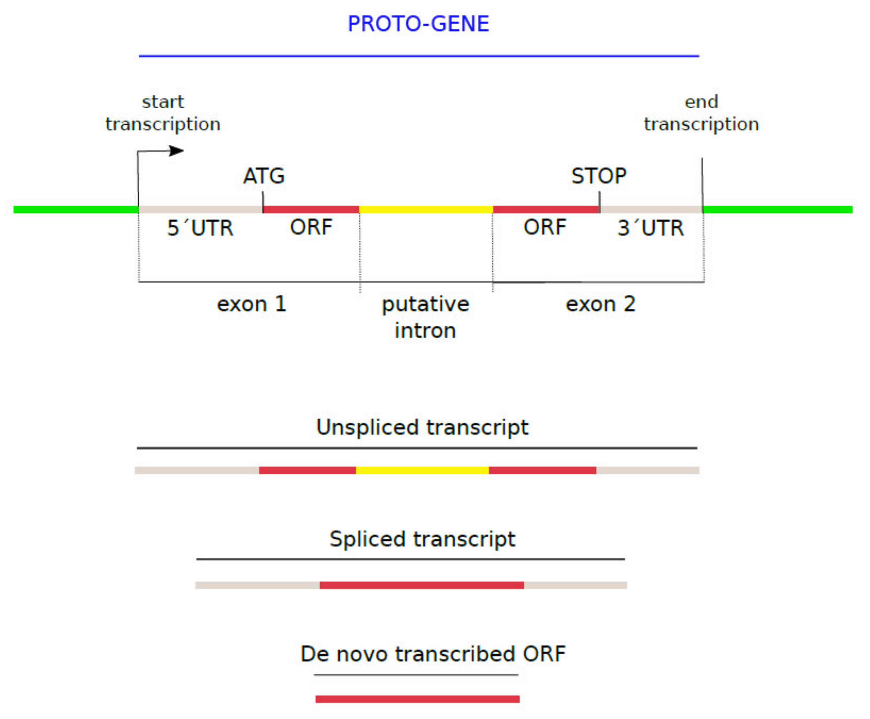 Genes 13 00284 g001 Genes 13 00284 g001
