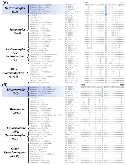 Genes 13 00288 g005 550