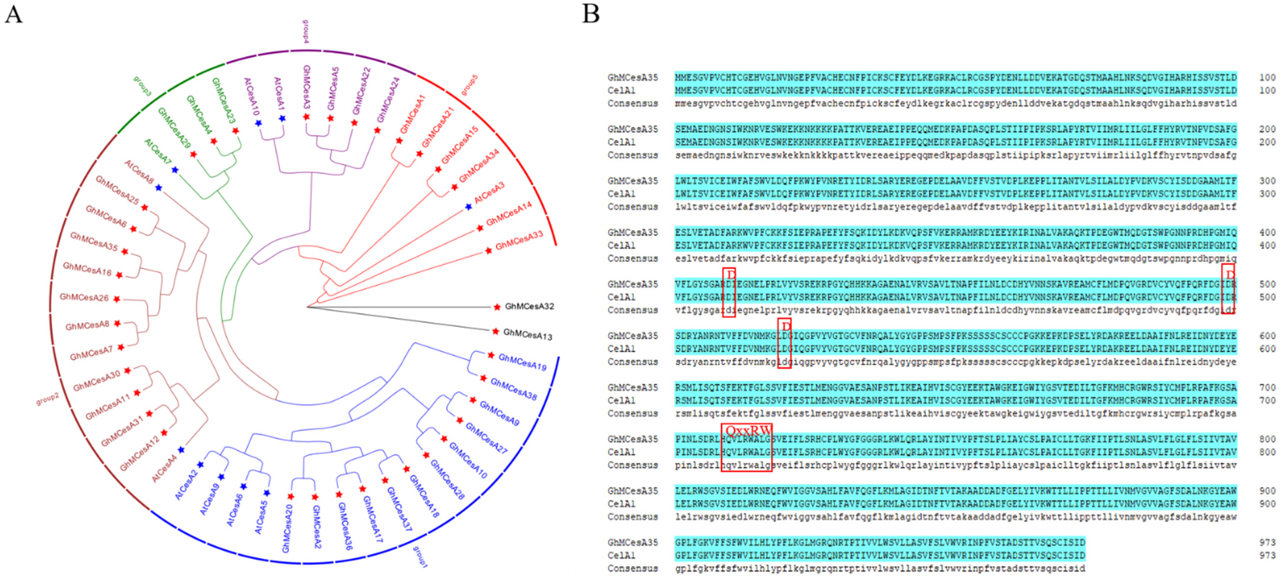 Genes 13 00292 g001 Genes 13 00292 g001