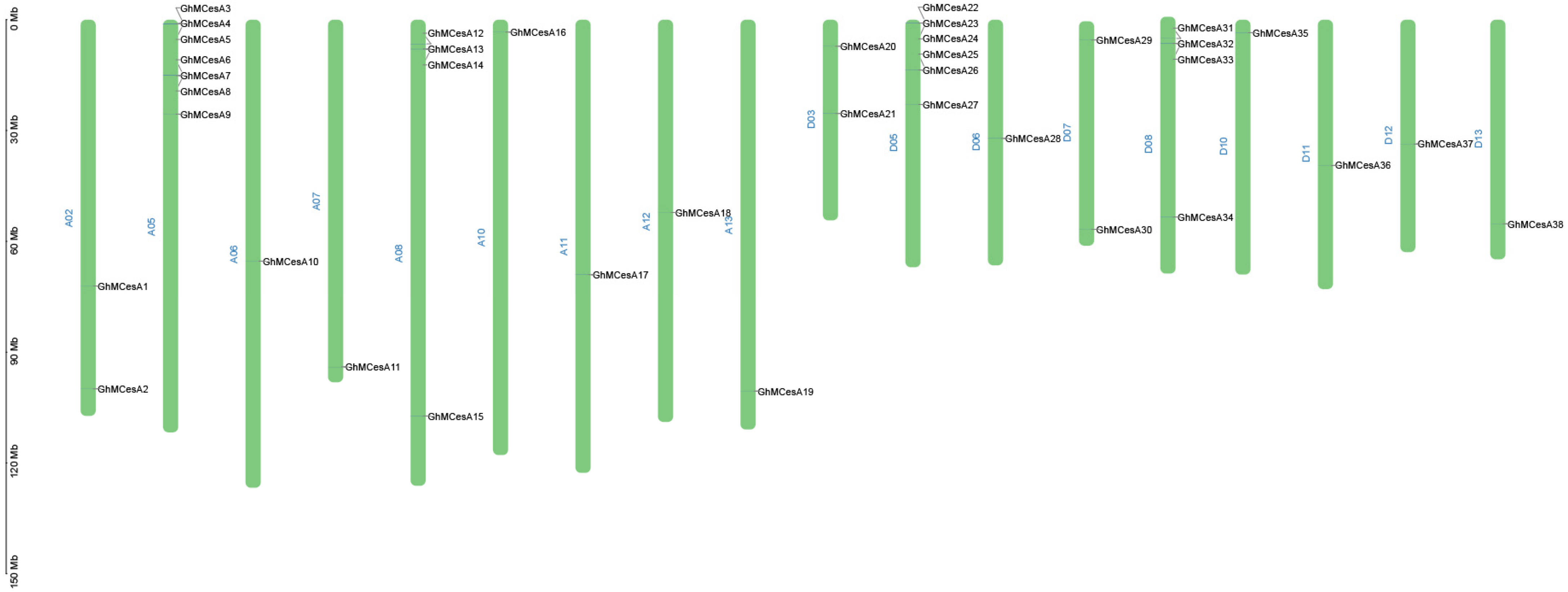Genes 13 00292 g002 Genes 13 00292 g002